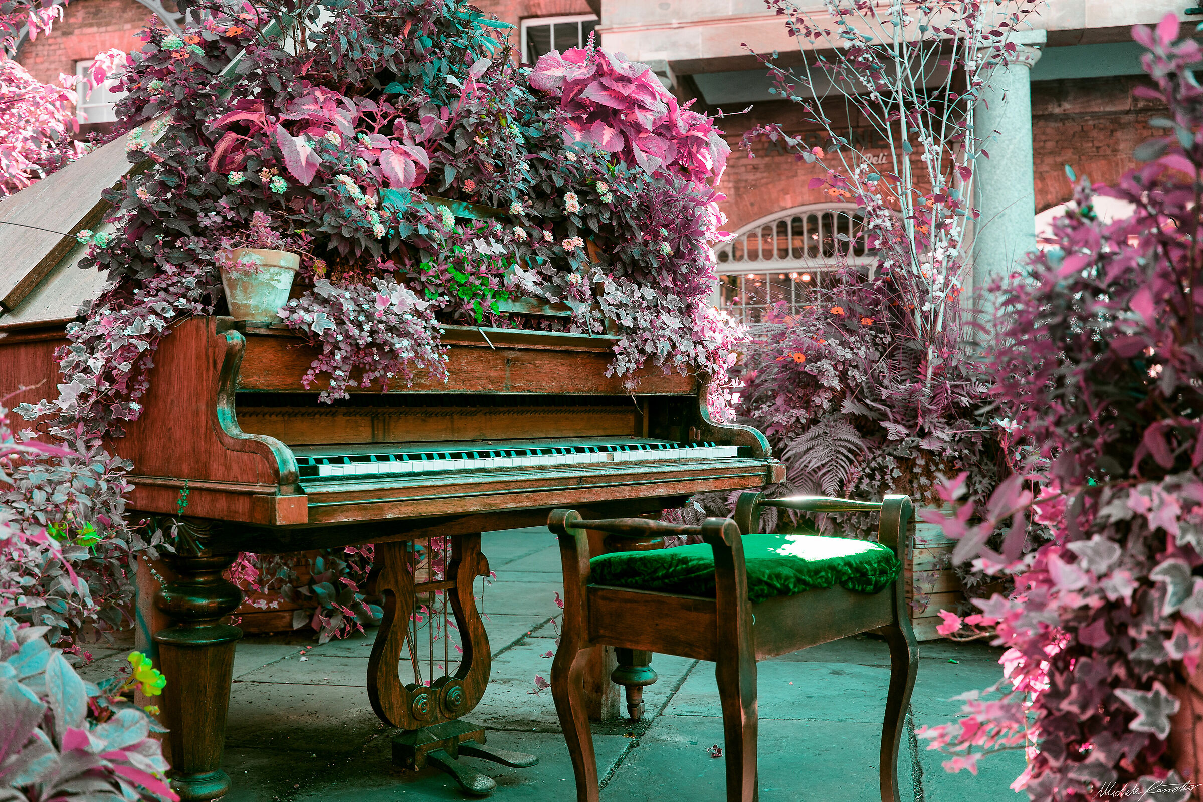 Pink Covent Garden, Inc.