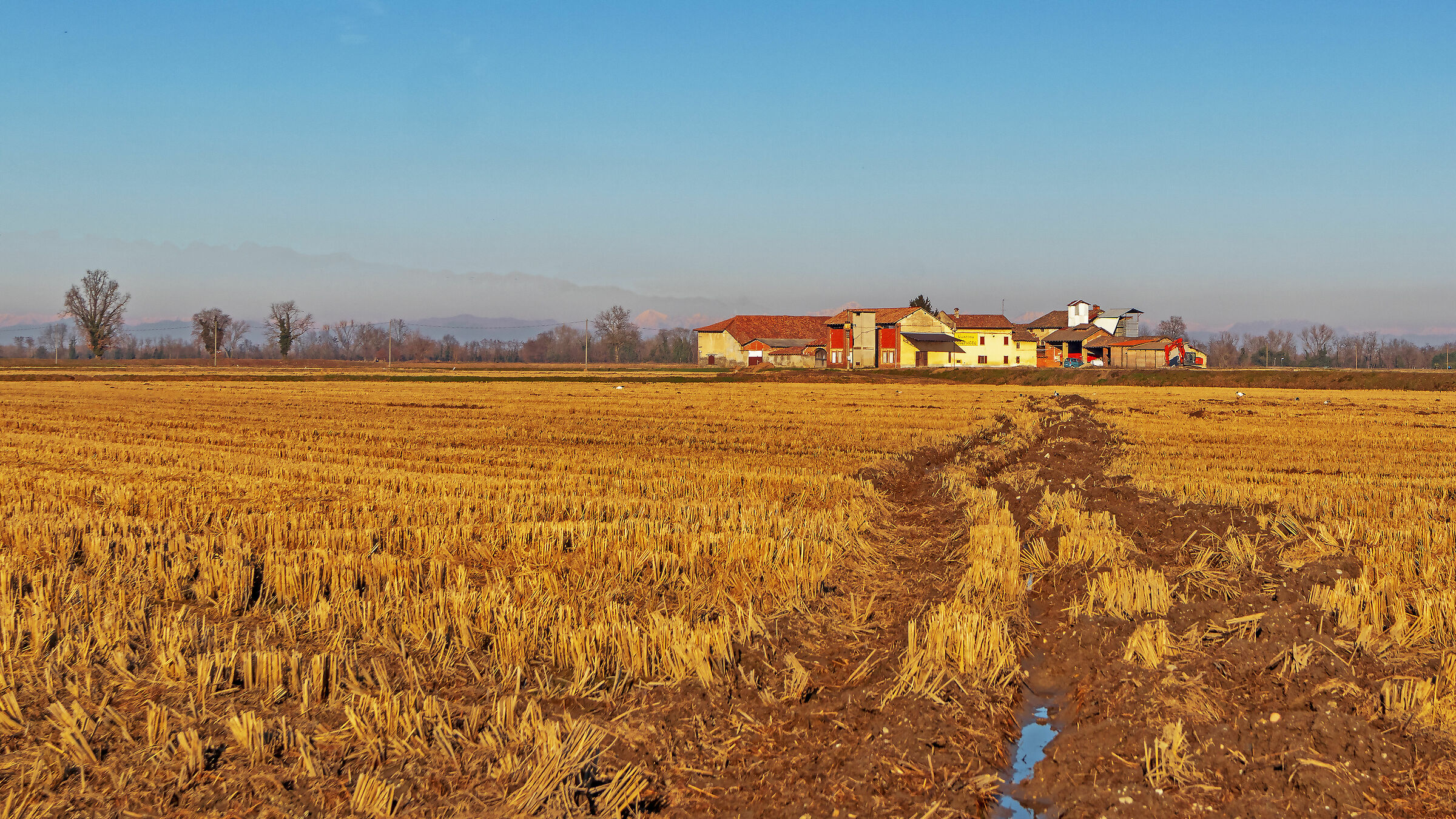 Anche l'inverno ha i suoi colori