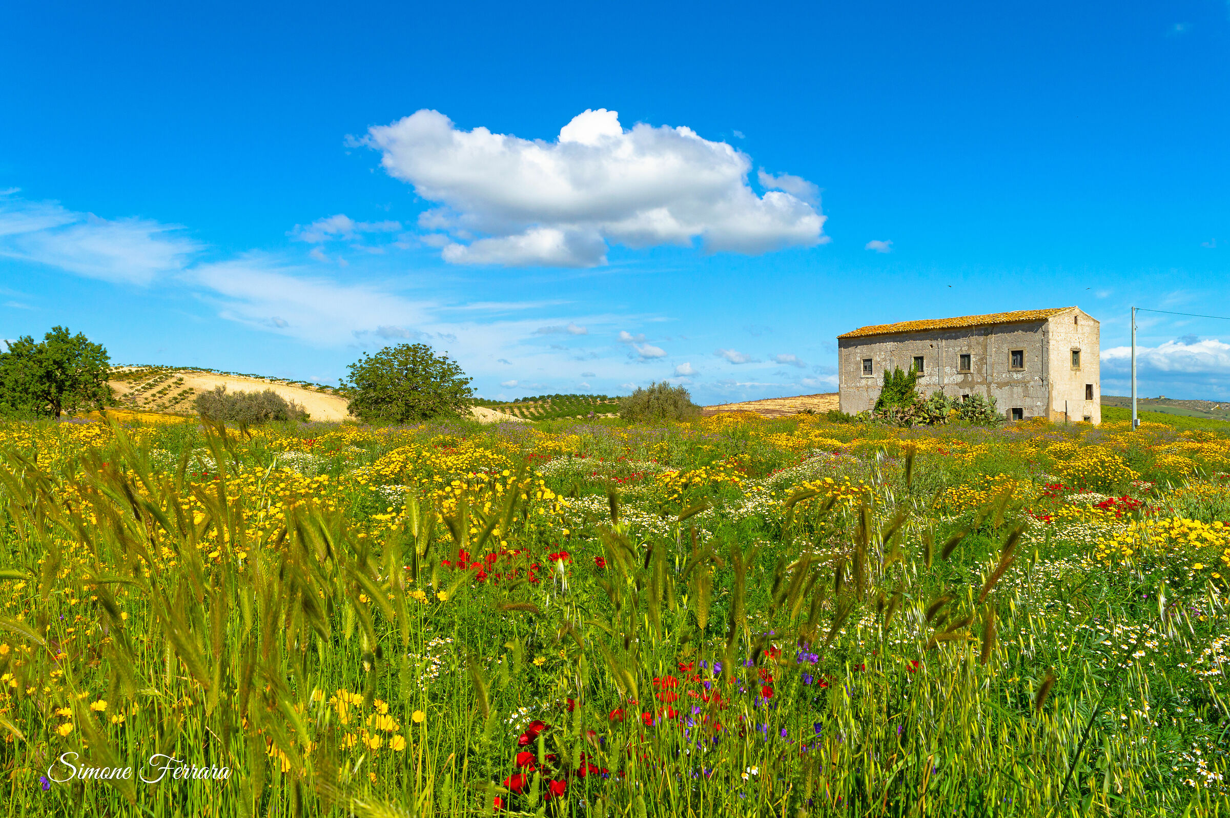 "The house on the prairie"