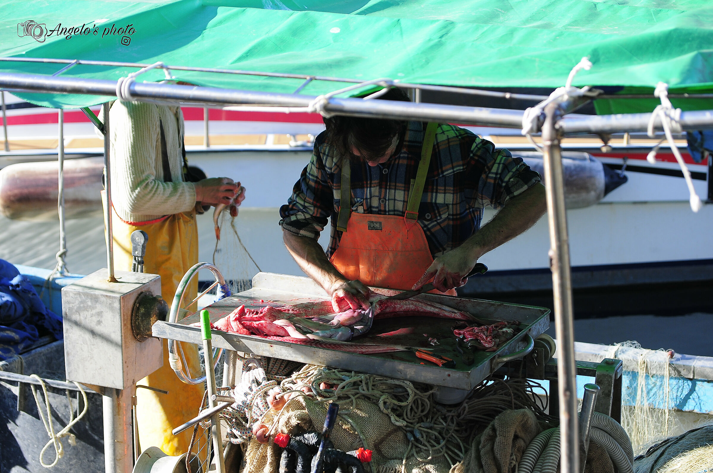 Muggia e i suoi pescatori...Ts