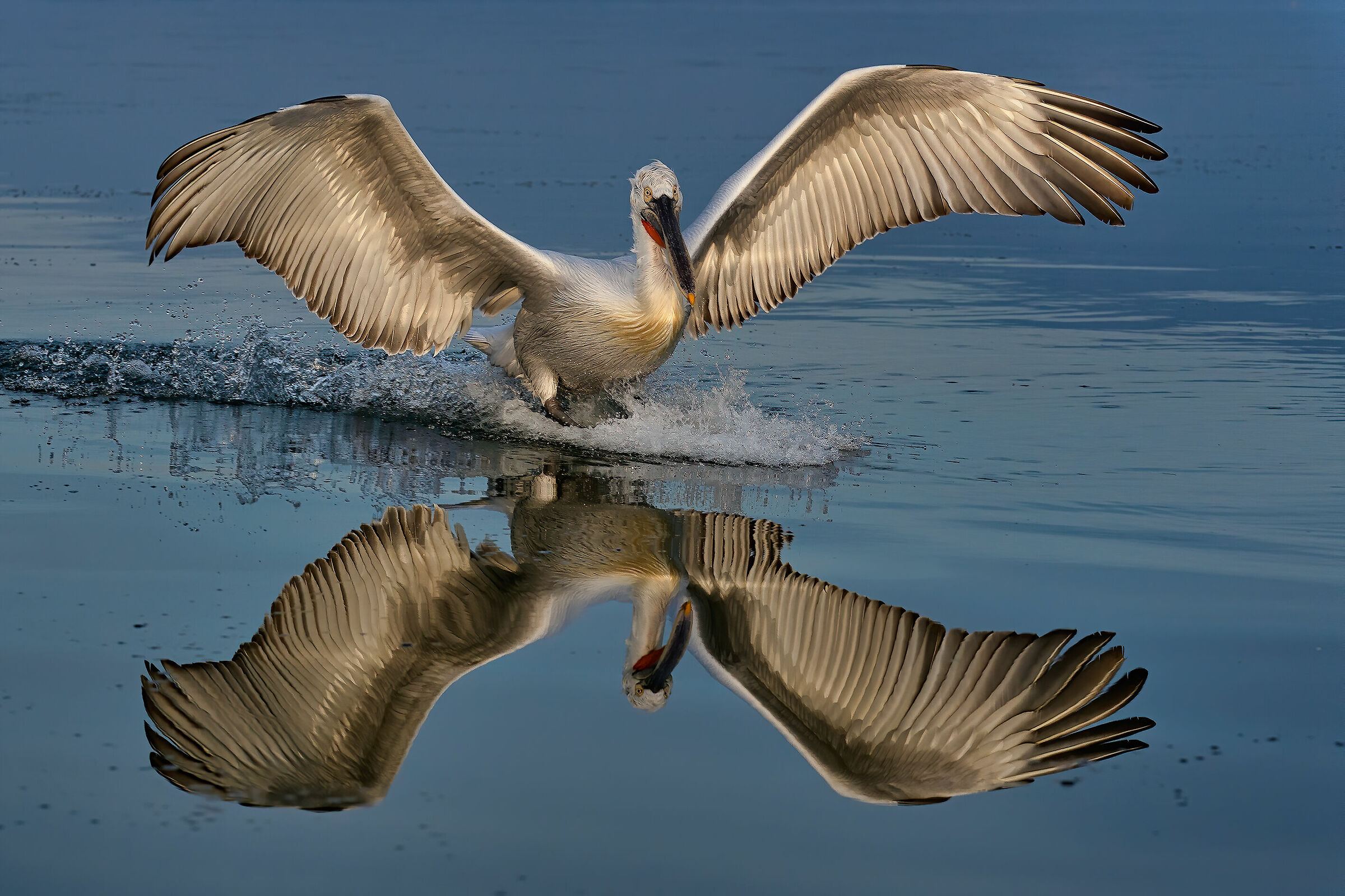Landing... in a mirror