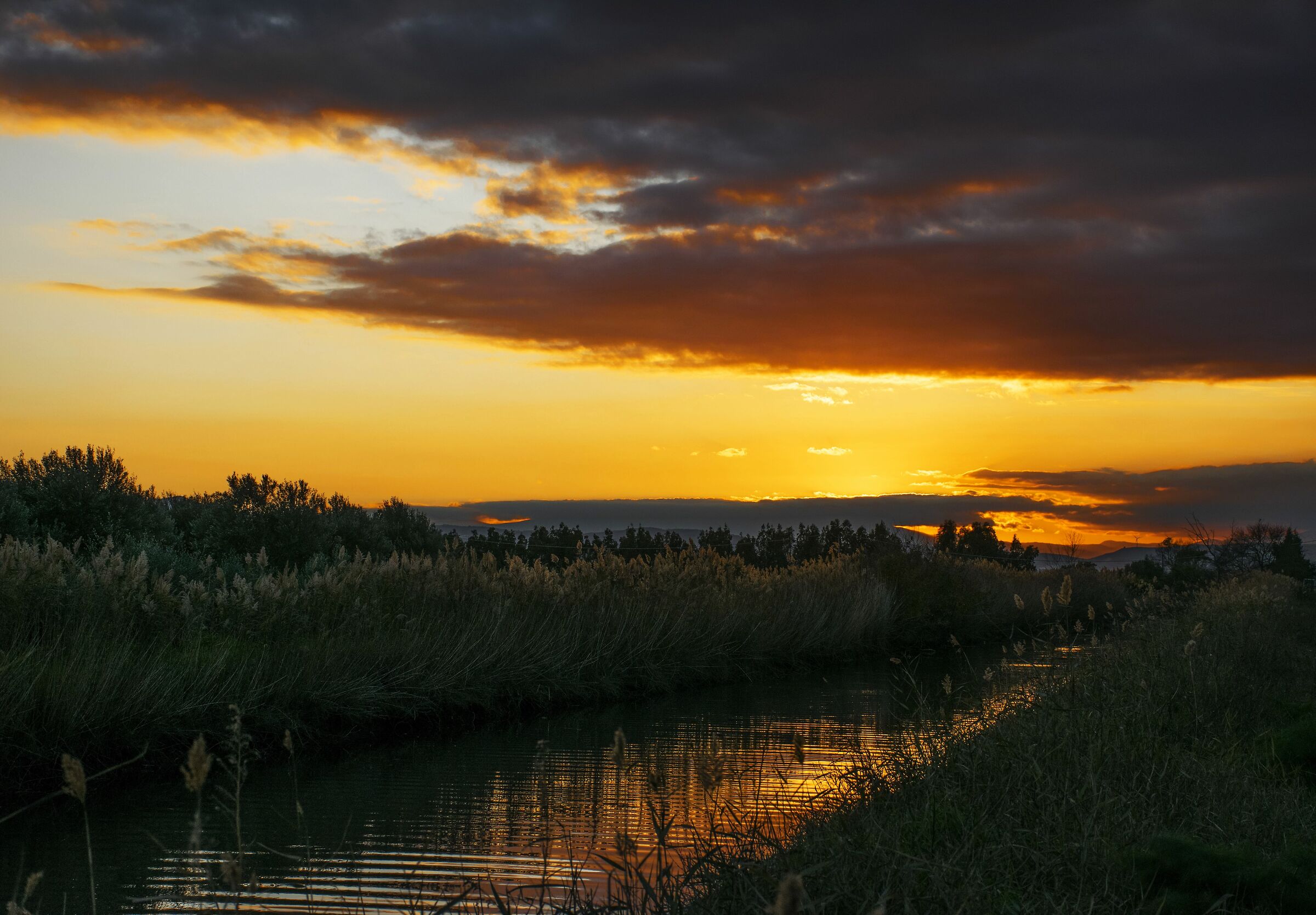 Rapita...piccola piccola...ammiro