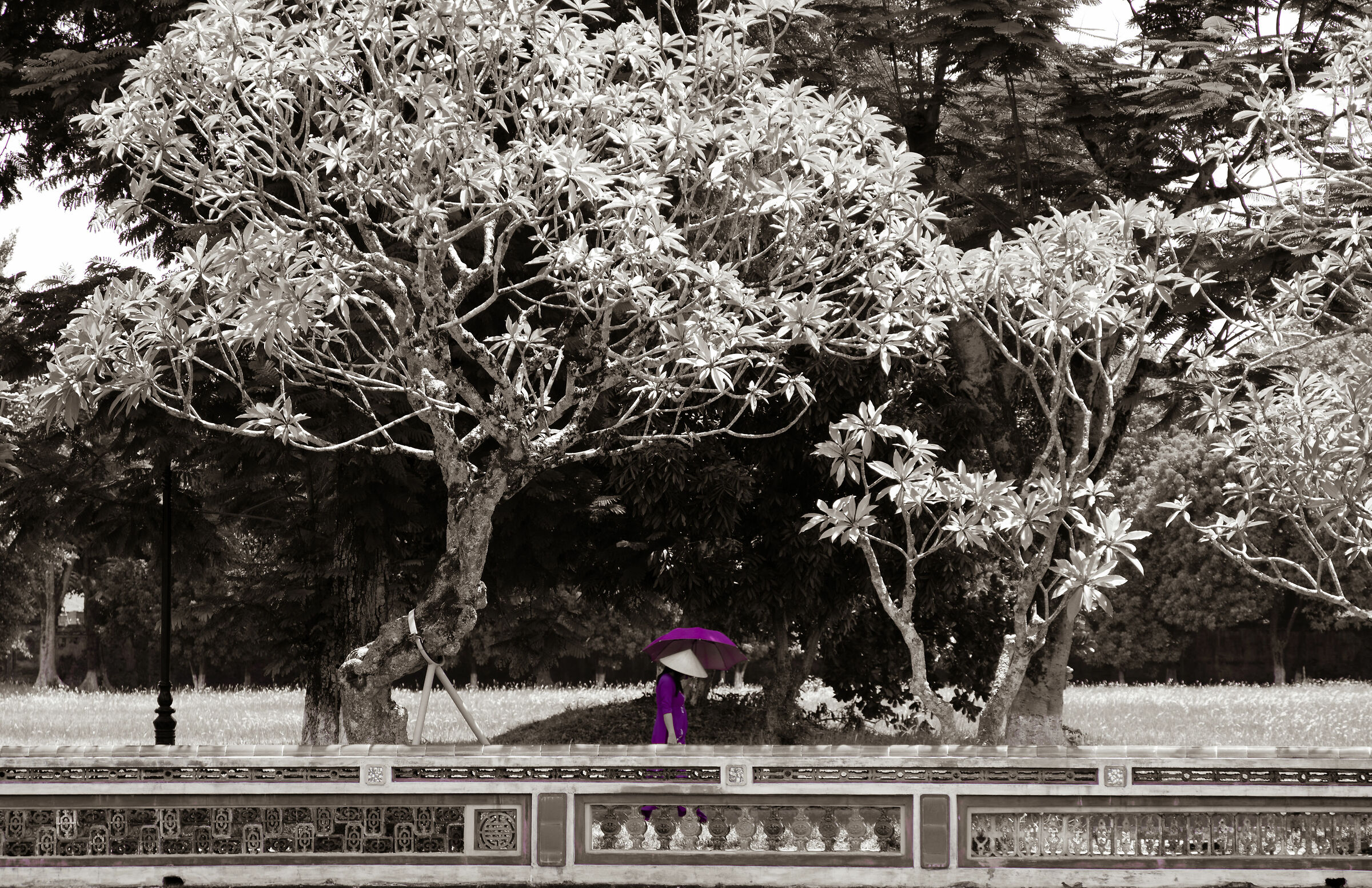 Start wearing Purple