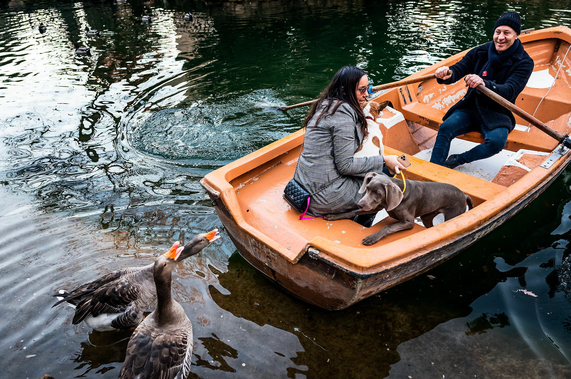 Incontri Ravvicinati