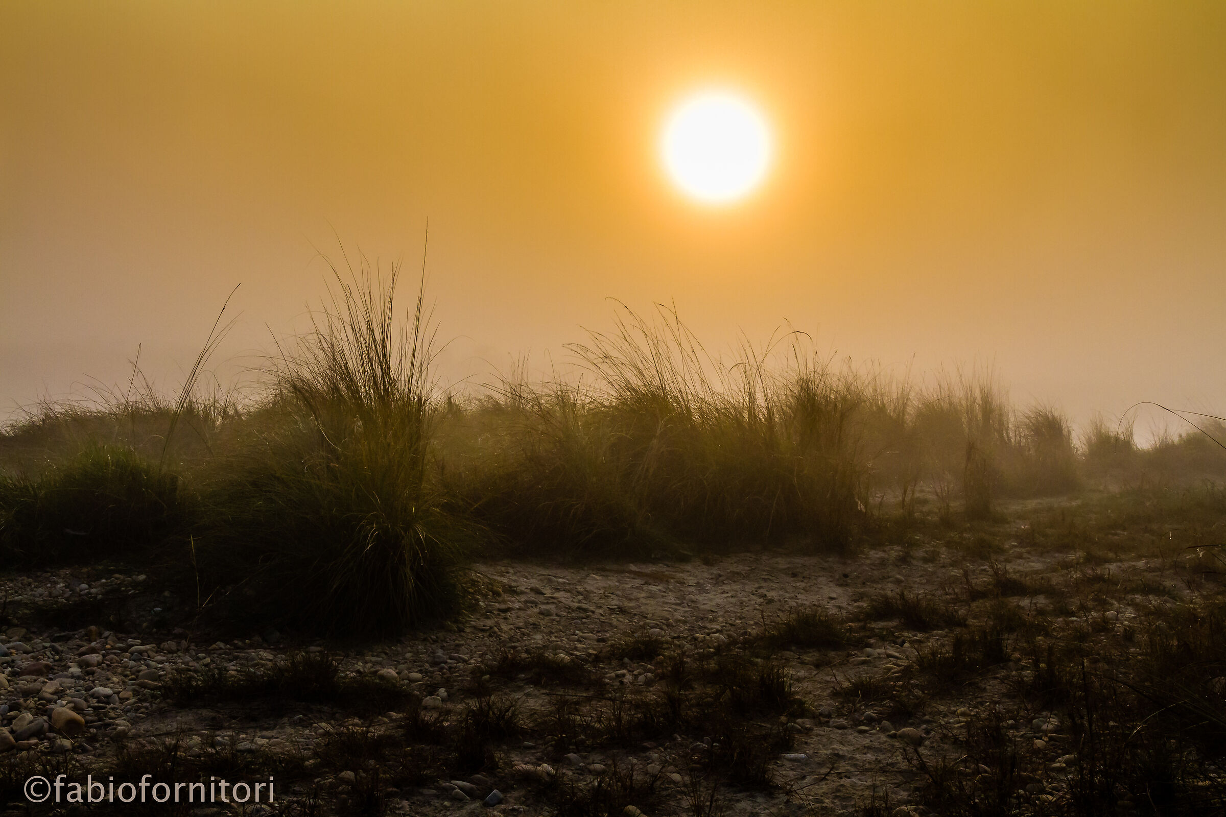 Chitwan National Park , Early morning  , Nepal 2010