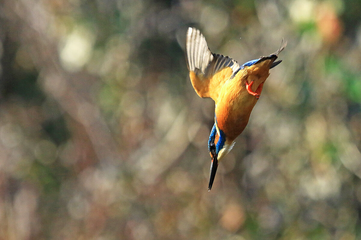 Altro giro...Altra corsa...