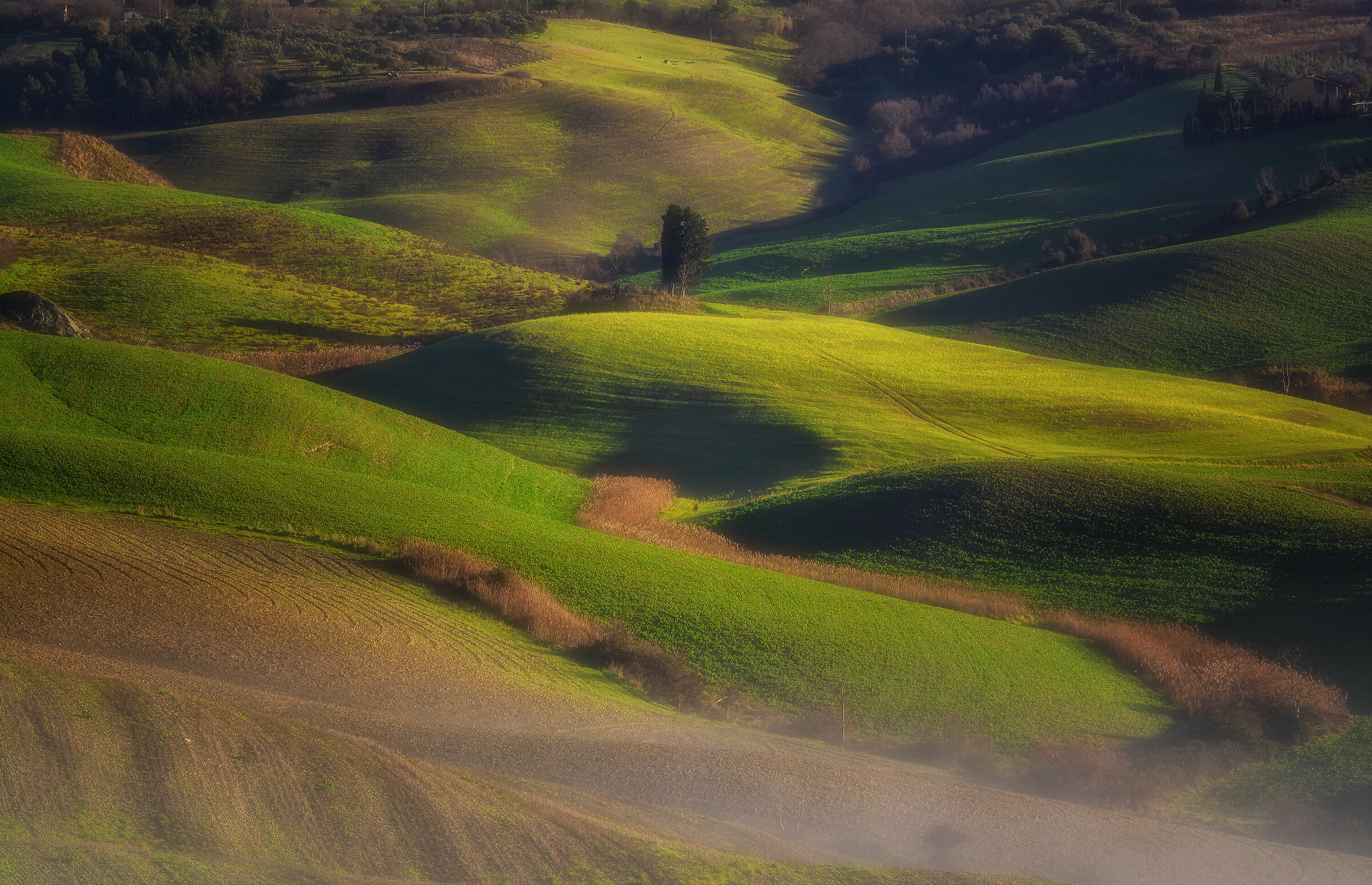 Verdi, dolci, colline in un freddo mattino invernale