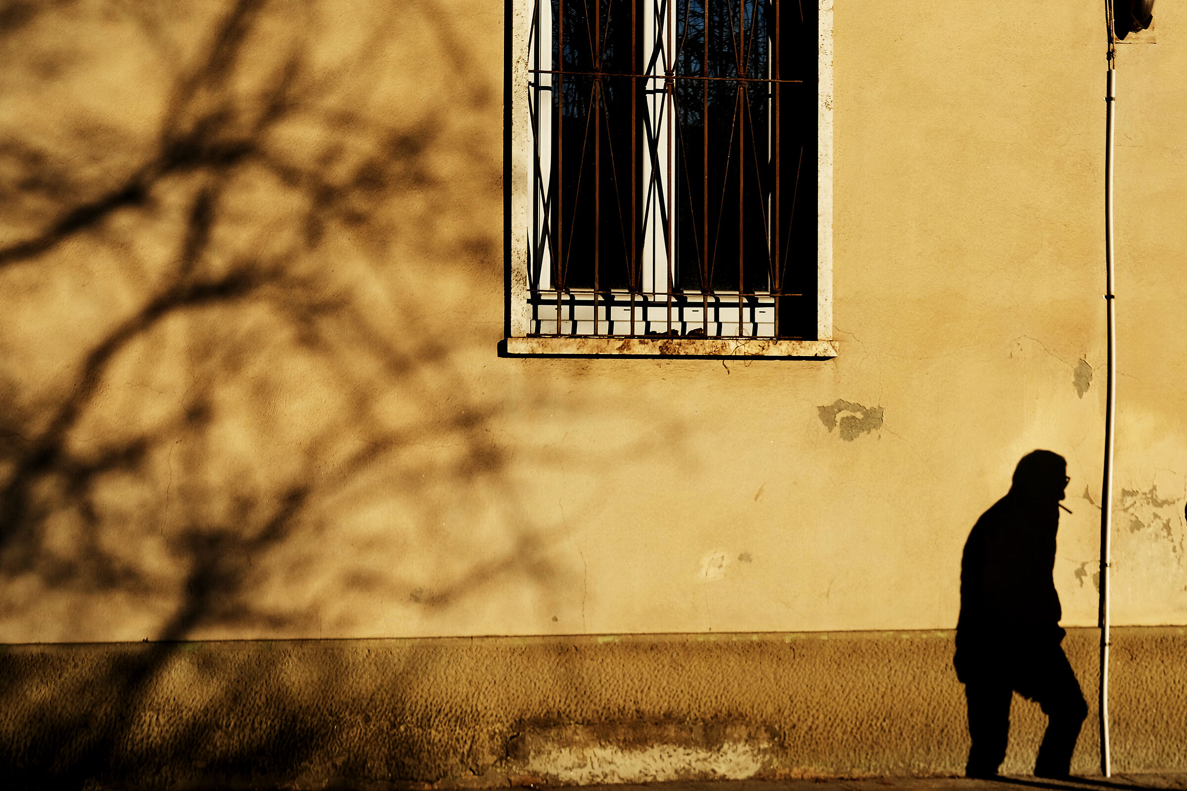 l' ombra che cammina...