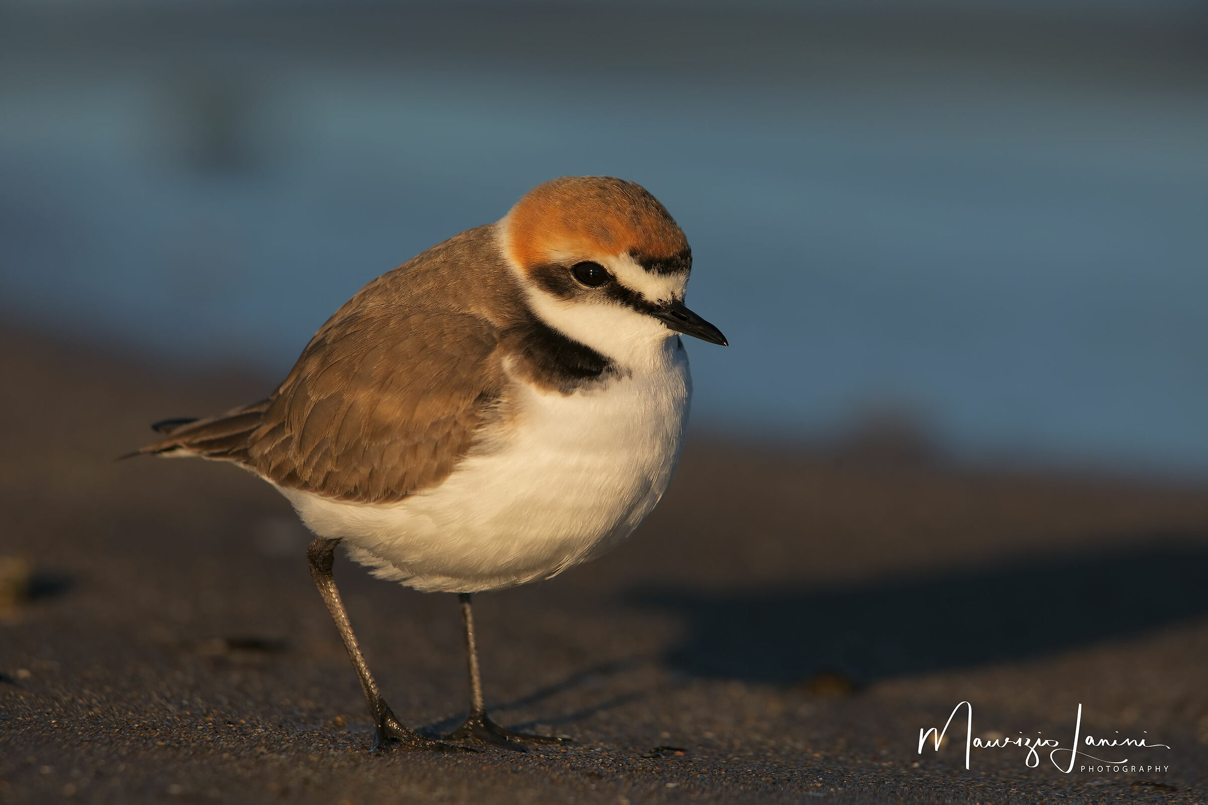 Le luce del primissimo mattino