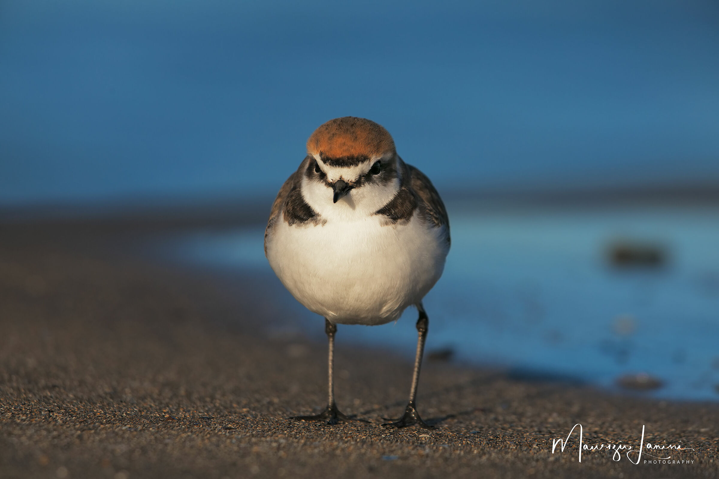 A passeggio sull'arenile.
