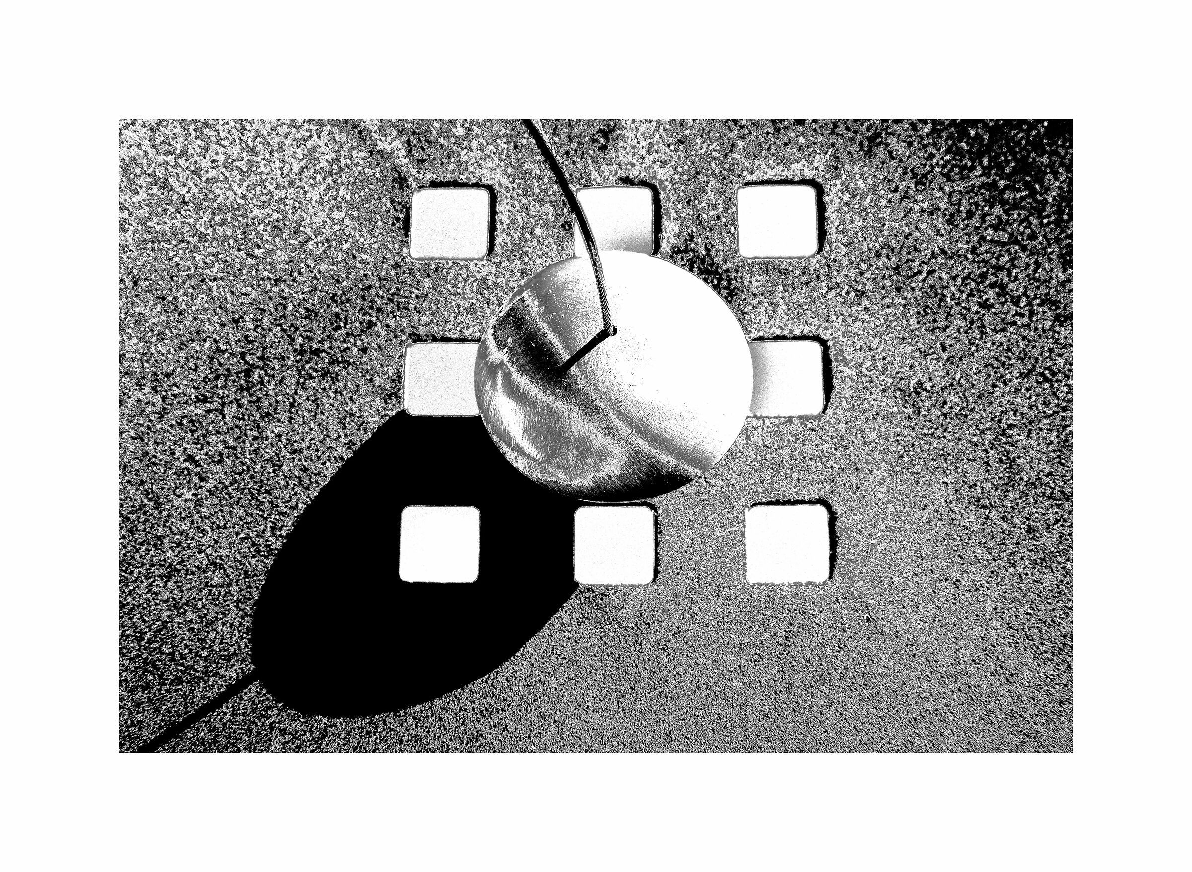 Le geometrie della vita