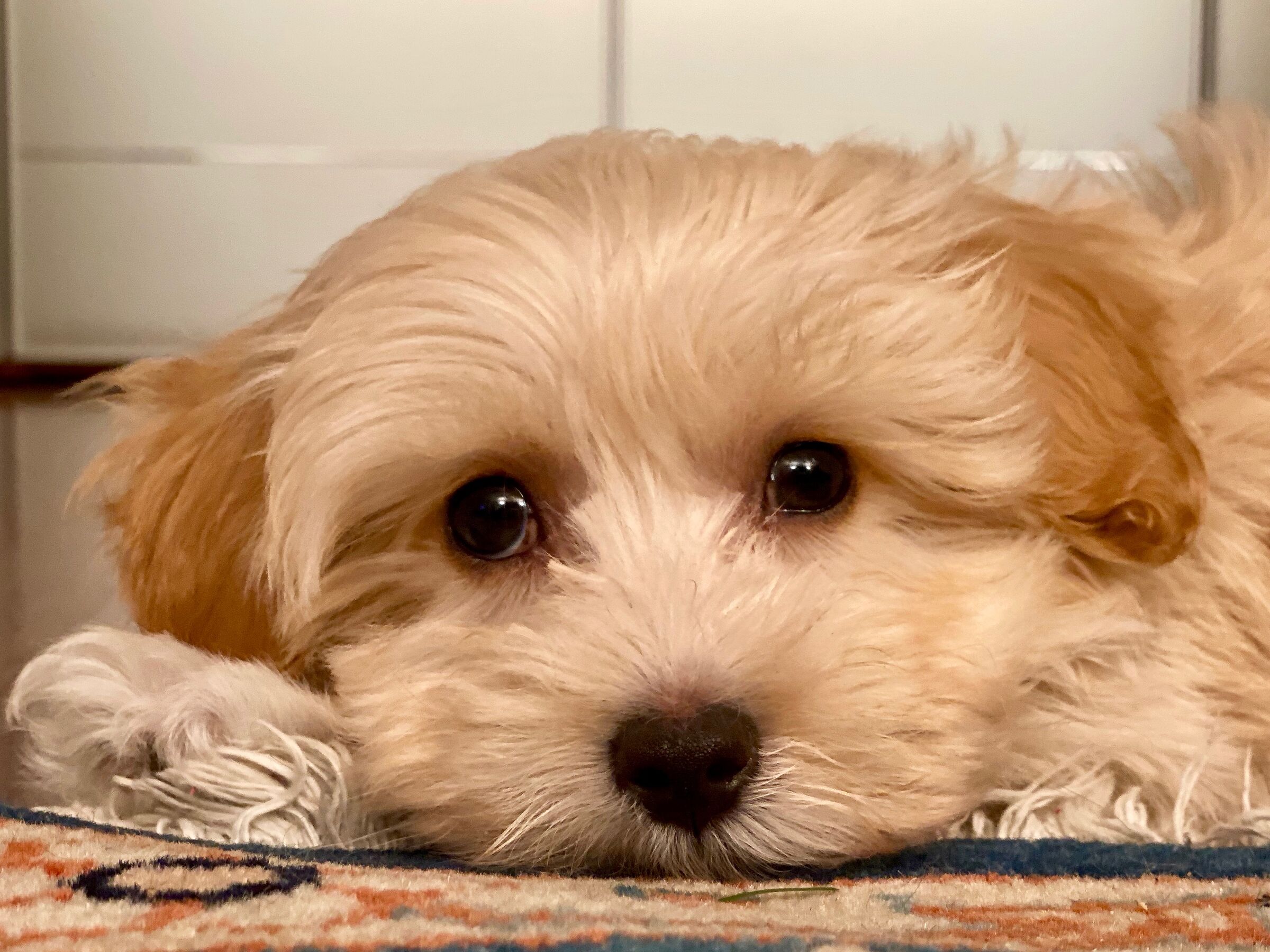 Eccomi dopo tre settimane