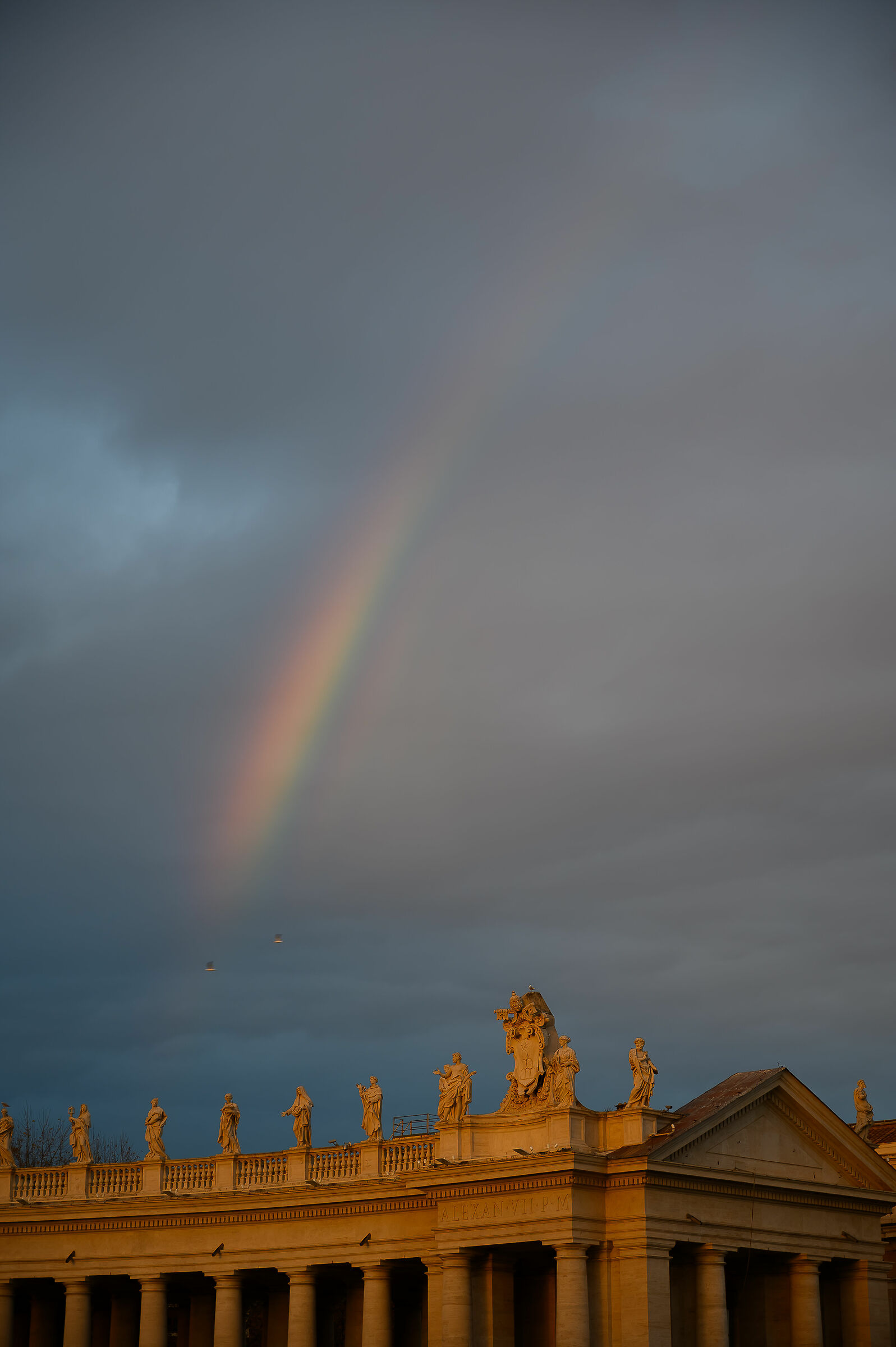 after the storm