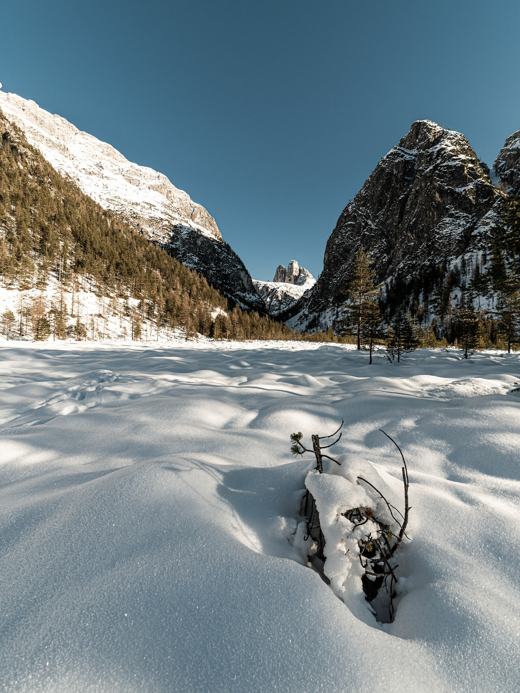 Tre Cime di Lavaredo