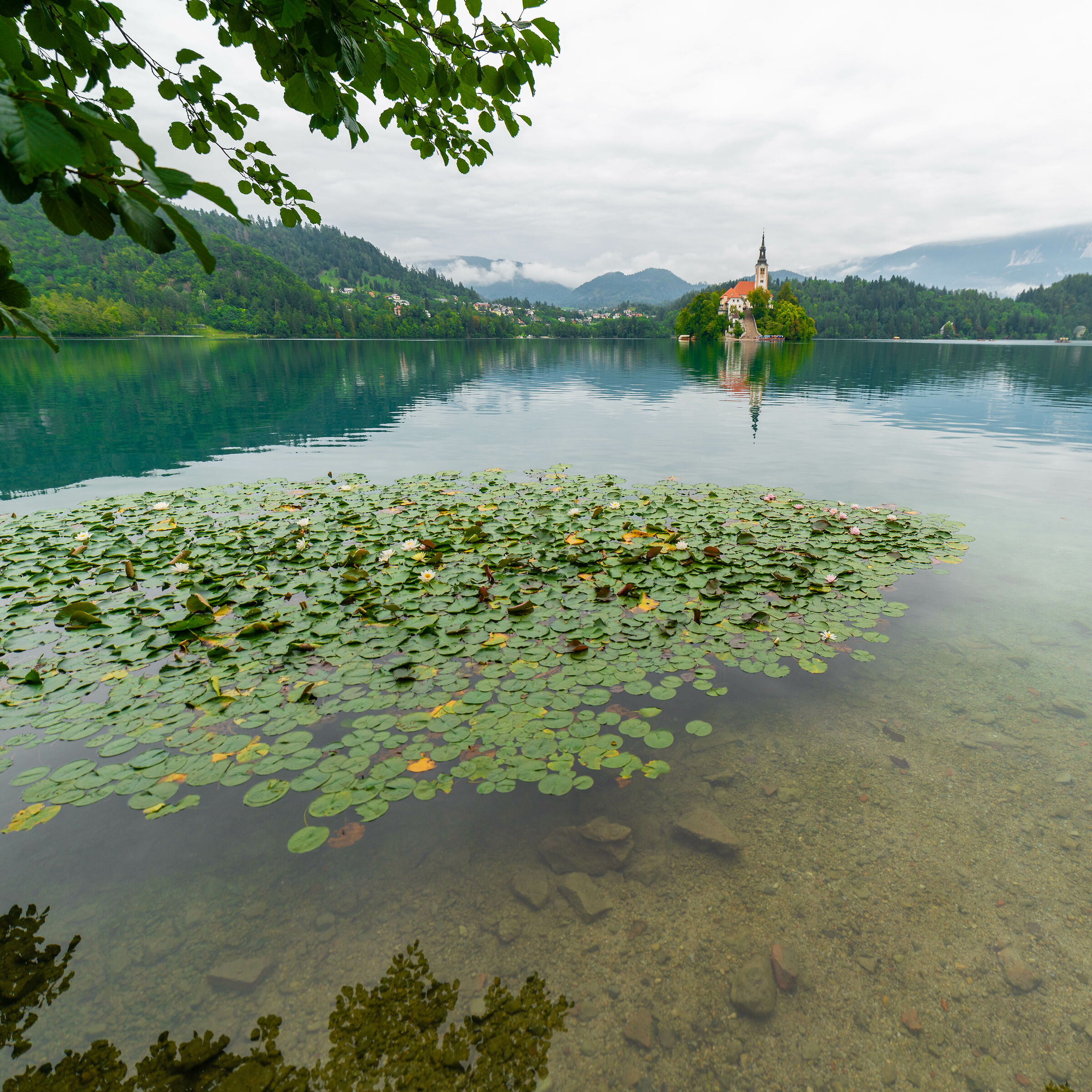 Lago di Bled