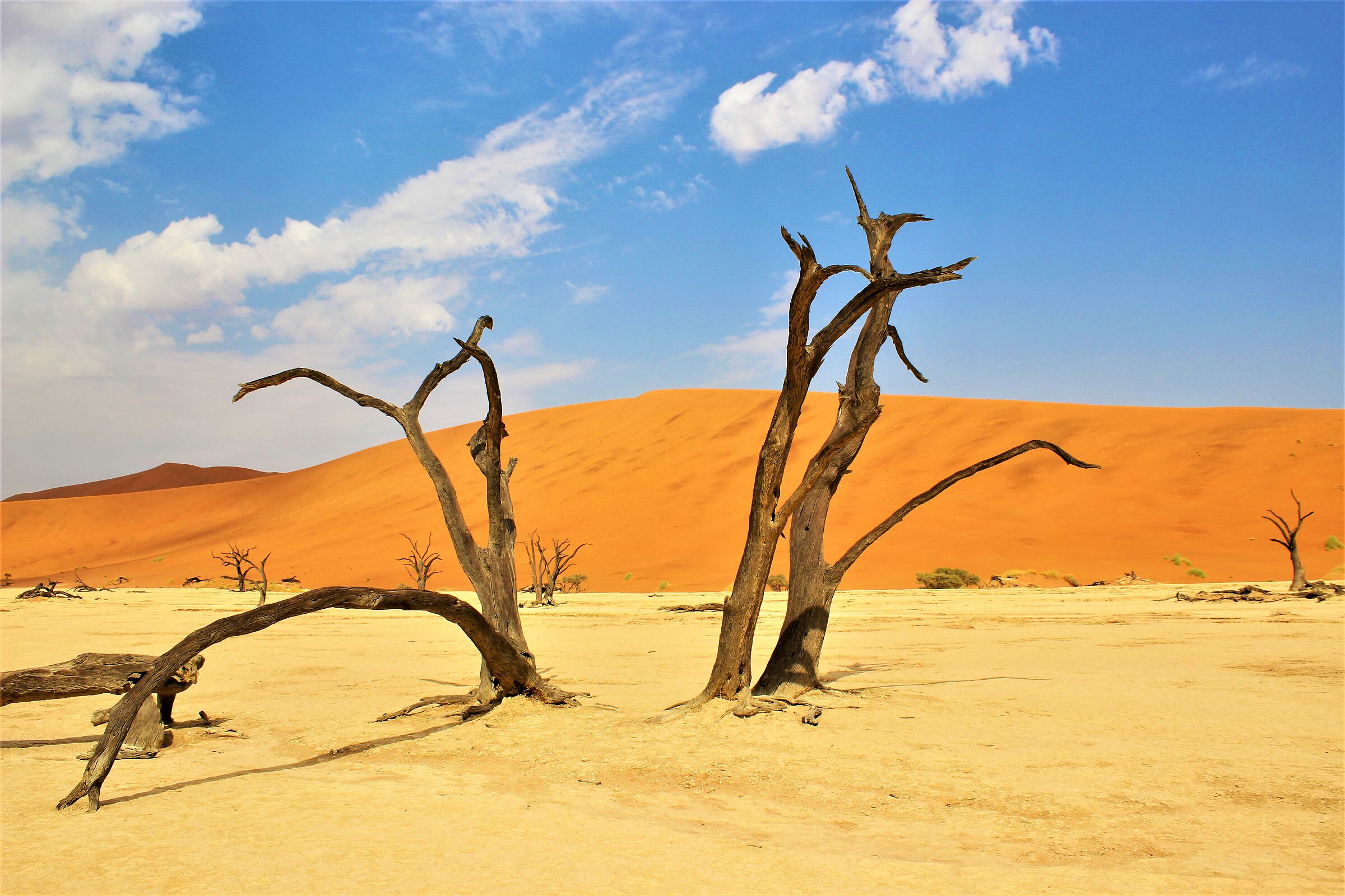 sculture nel deserto ( braccia protese verso il cielo)