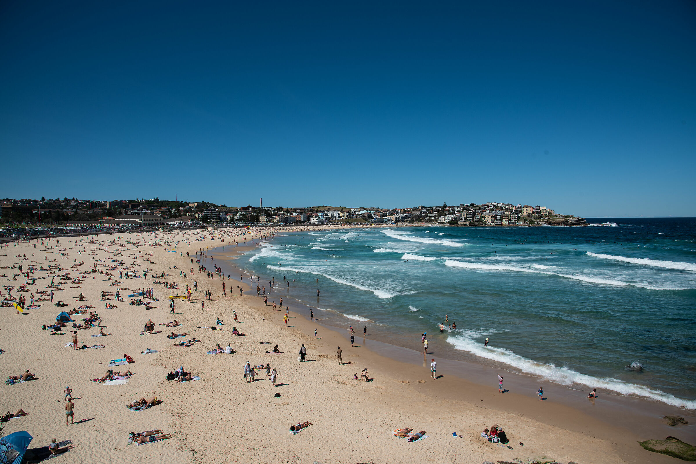 Bondi beach