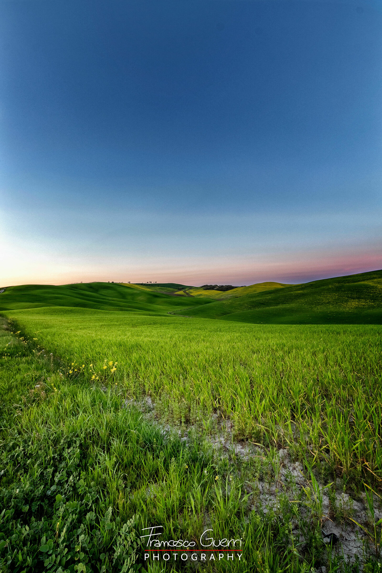 Per me uno Stupore, grazie