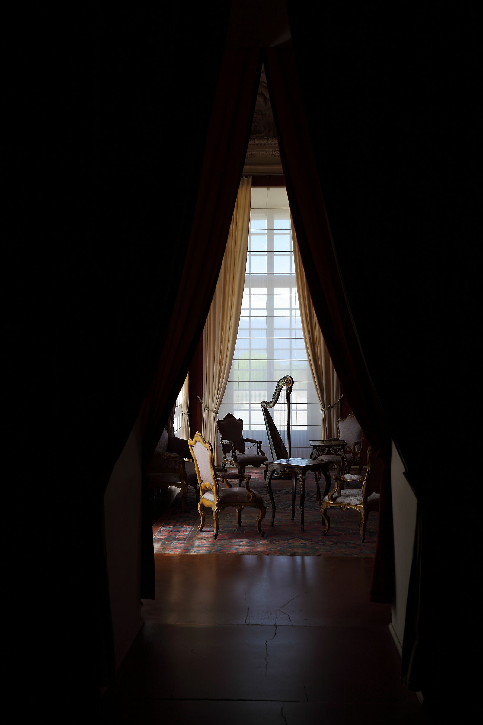 Immaginando lei: l'arpista