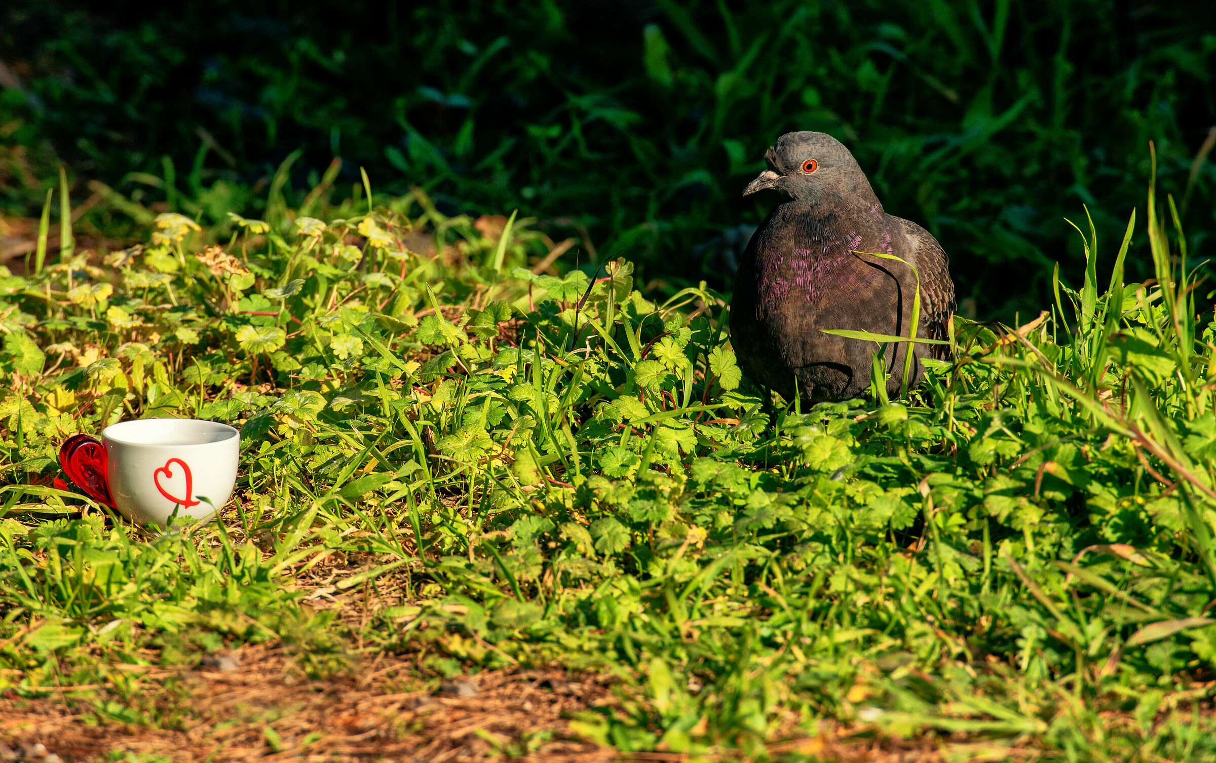 Breakfast with Tiffany