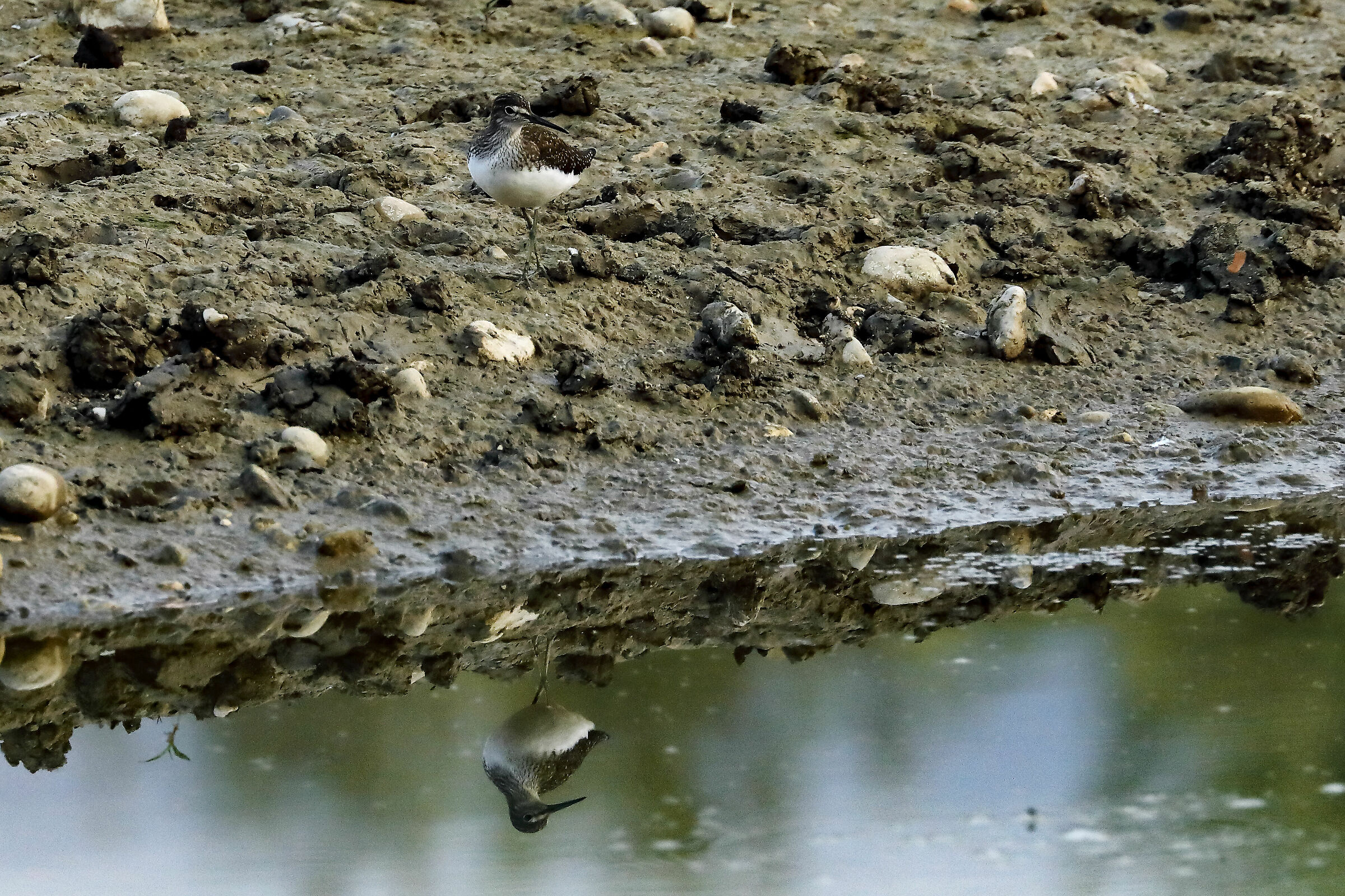 Alla ricerca di uno specchio