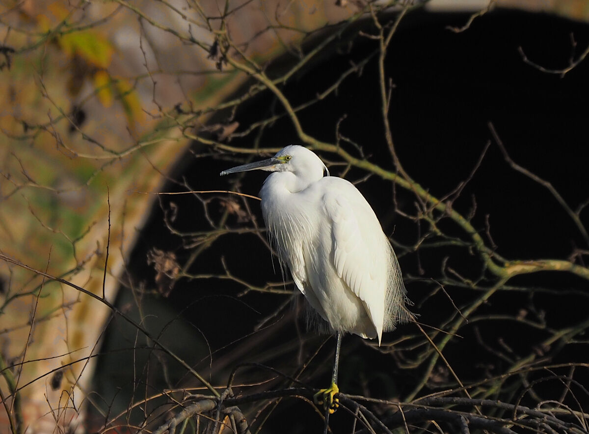 In equlibrio su una zampa!!