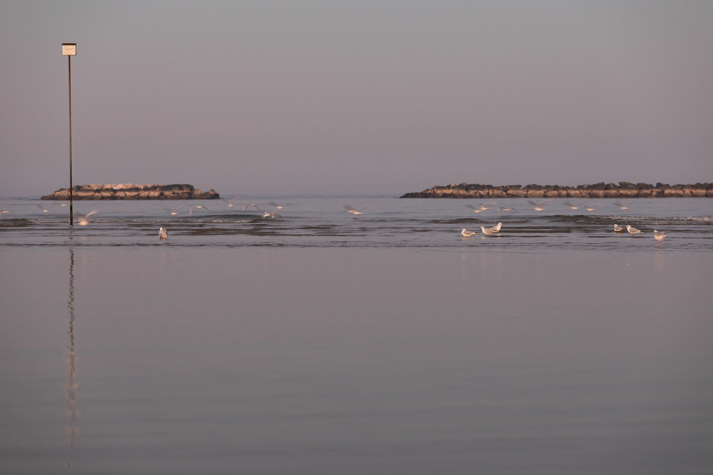 The Winter Sea - Cesenatico