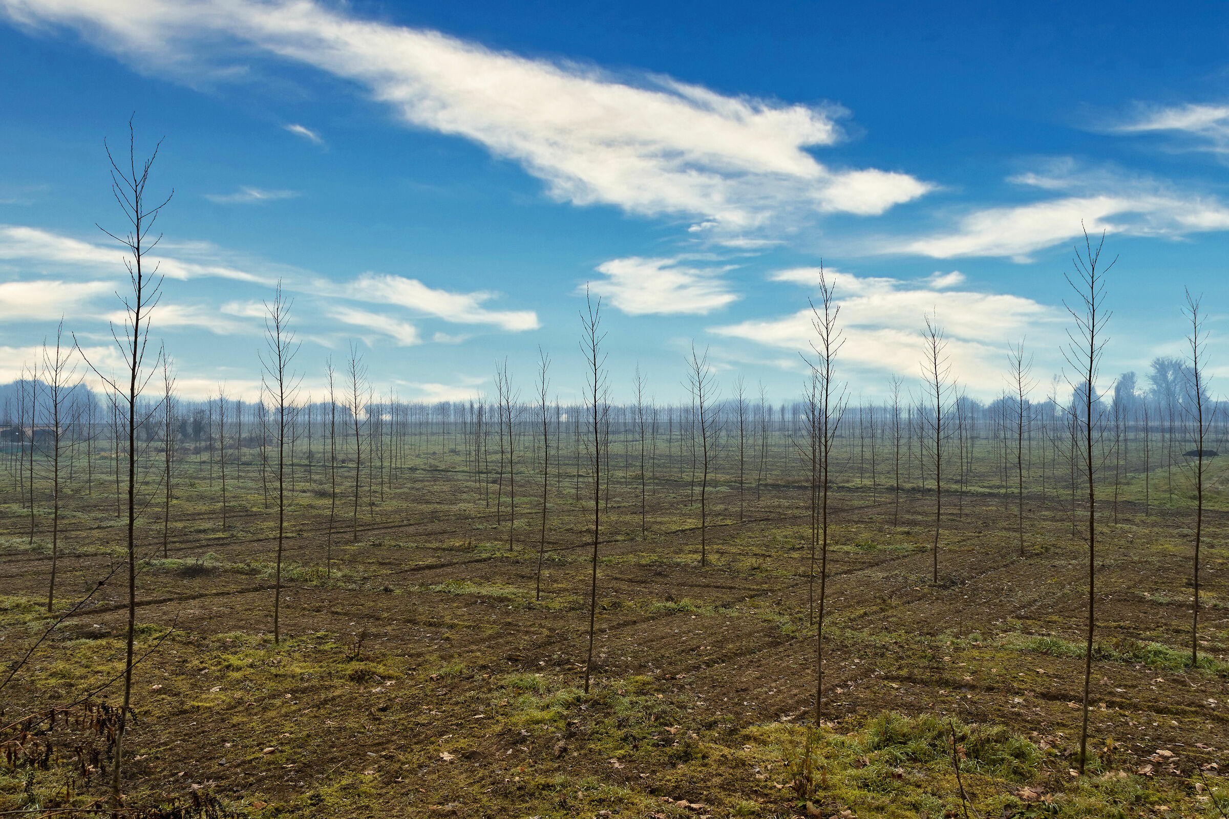 We are small but we will grow