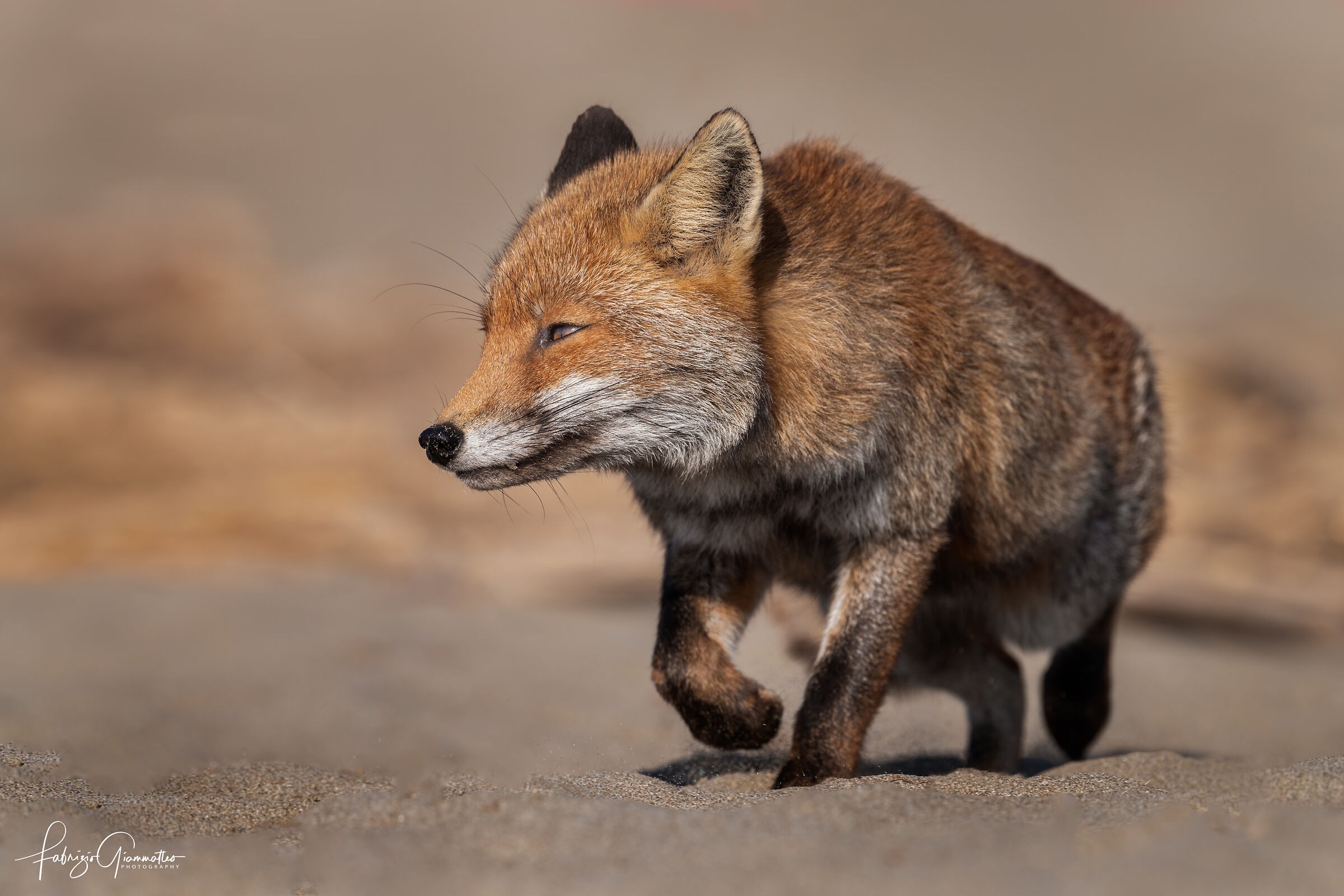 Incontri ravvicinati del terzo tipo