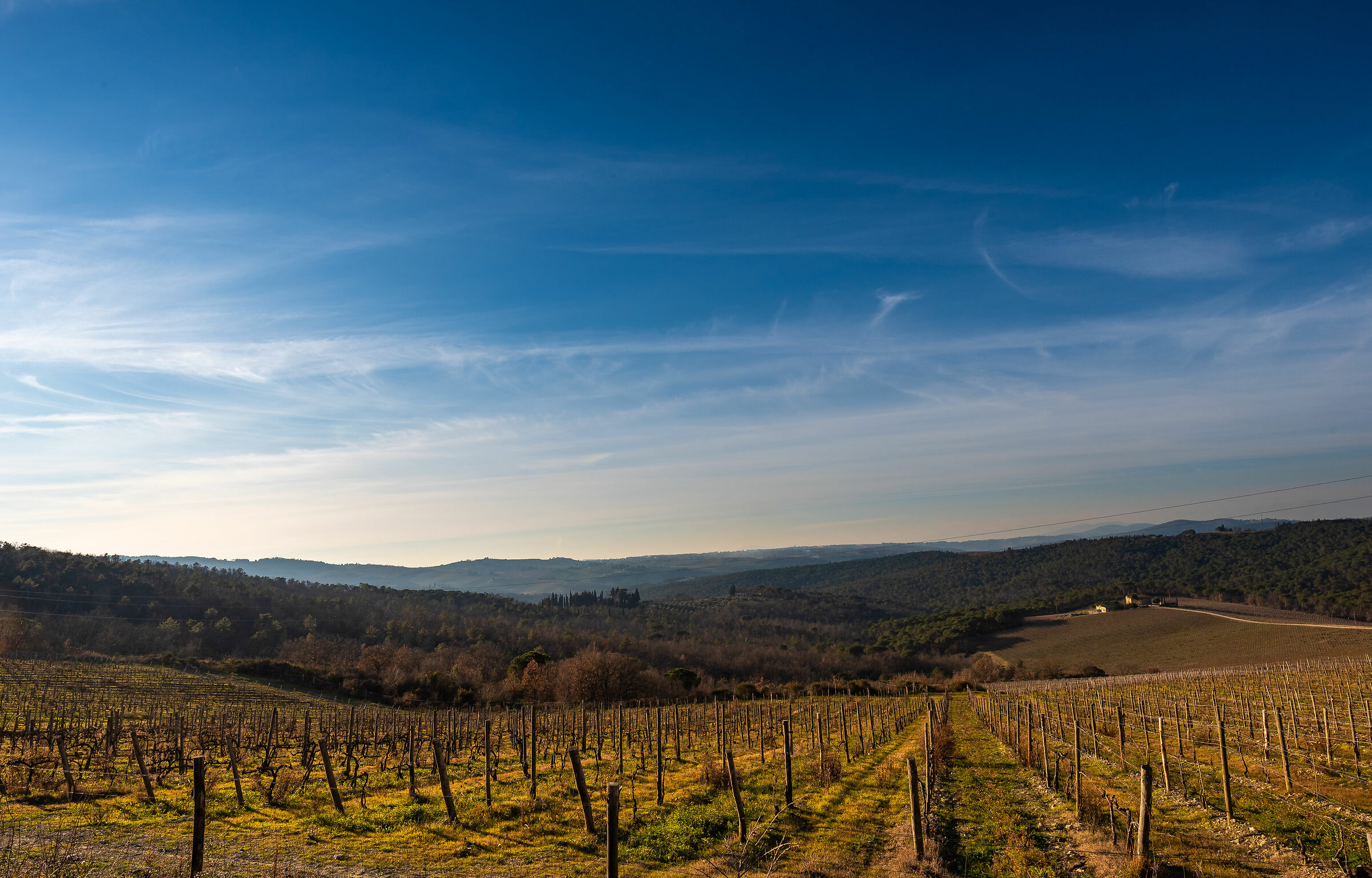 Colline del Chianti in inverno
