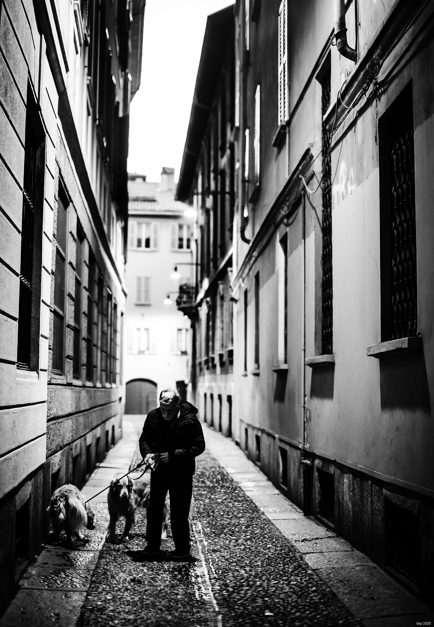 31st December in Brera