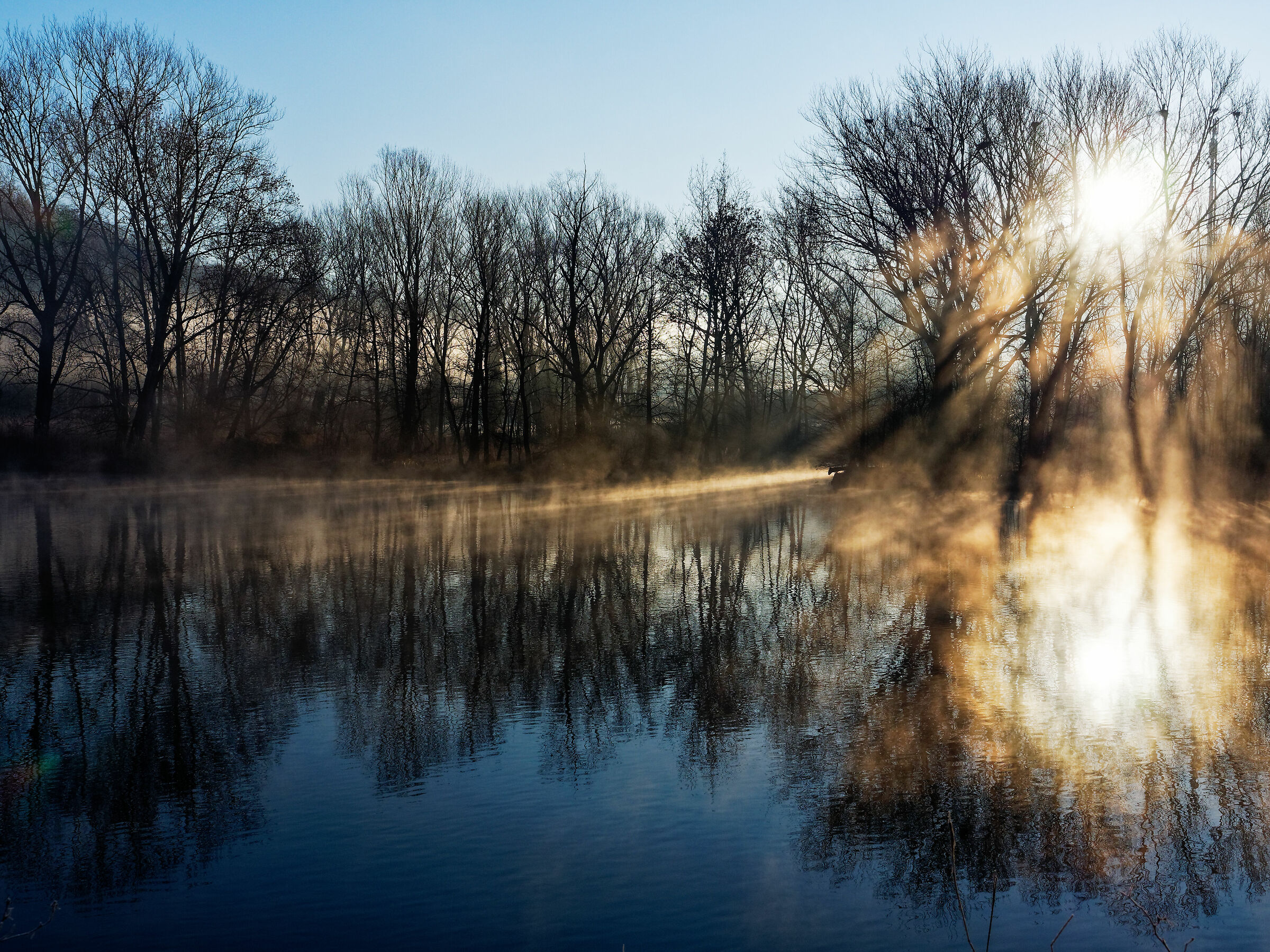 Fiume, sole e nebbia...