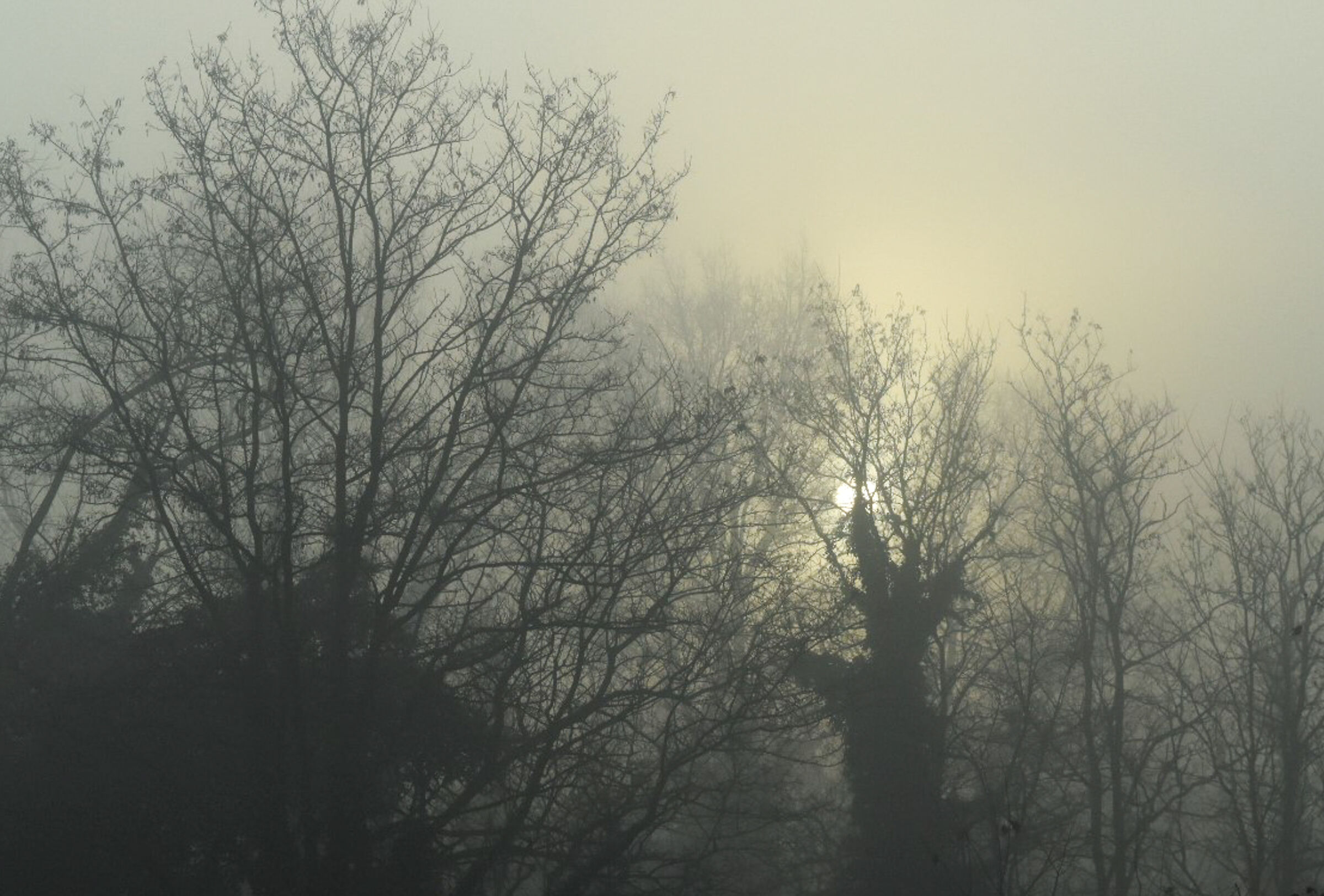 Morning on the banks of the Tiber