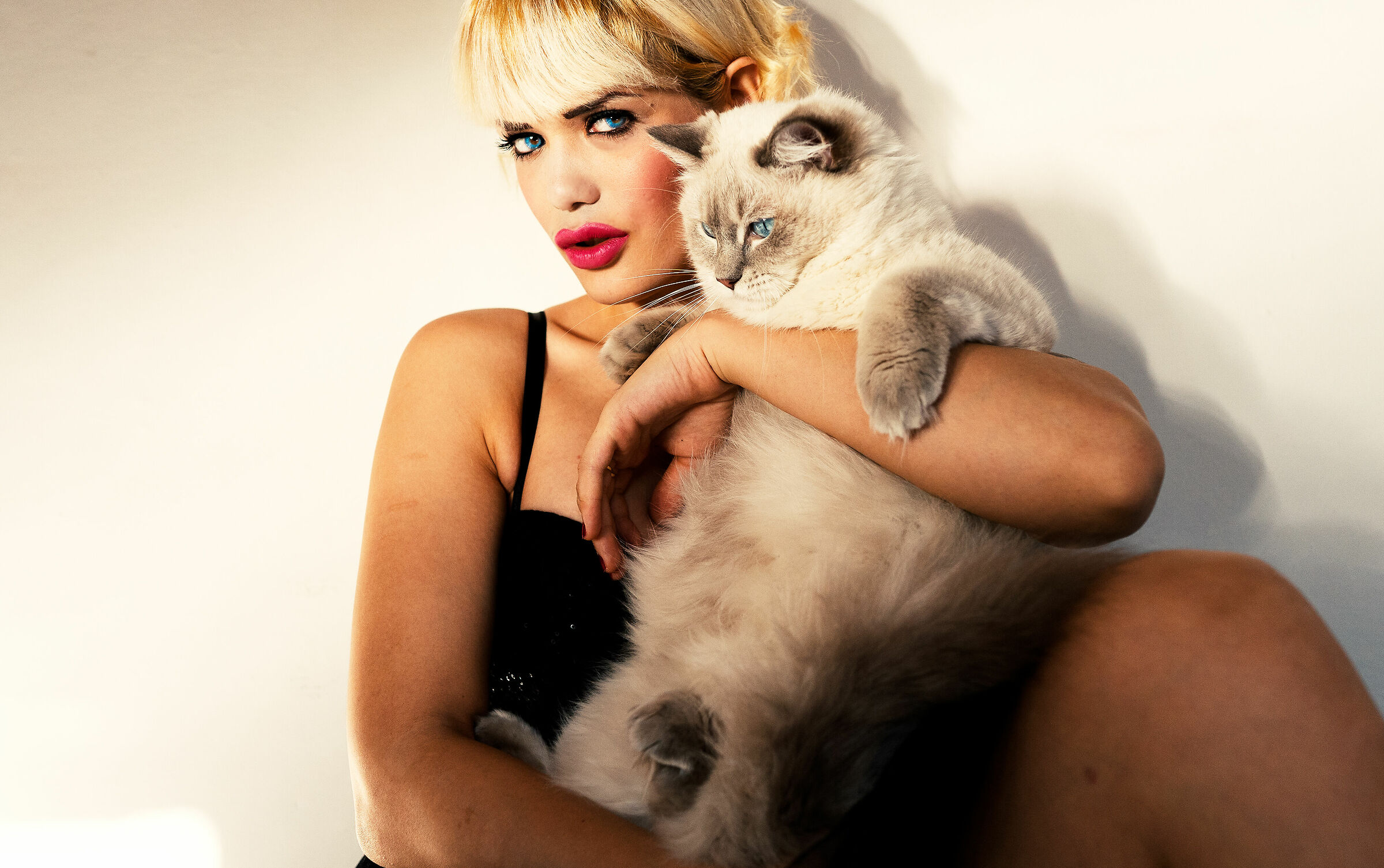 Mamma gatta con prole