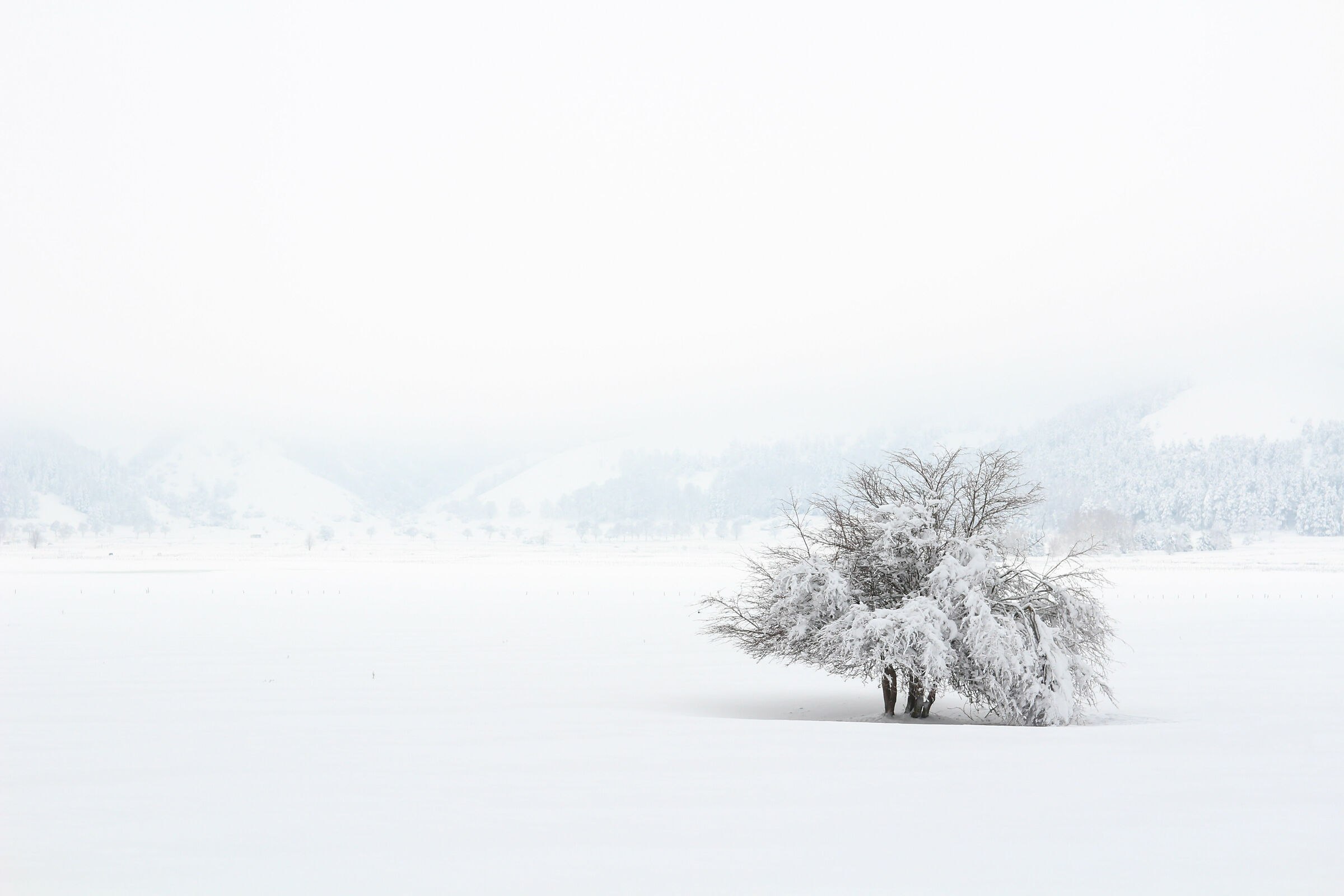 Laceno - January 2019