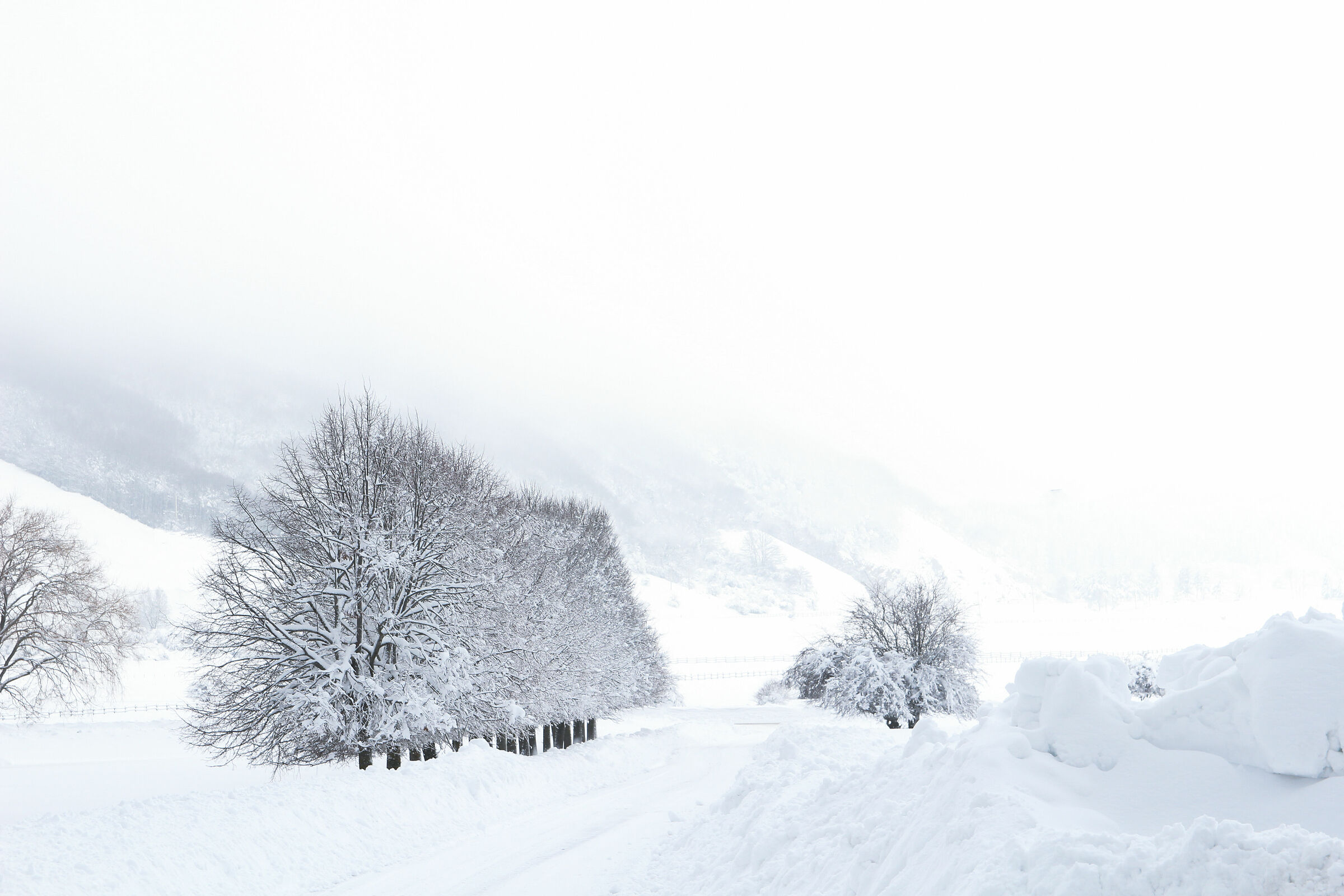 Laceno - Gennaio 2019