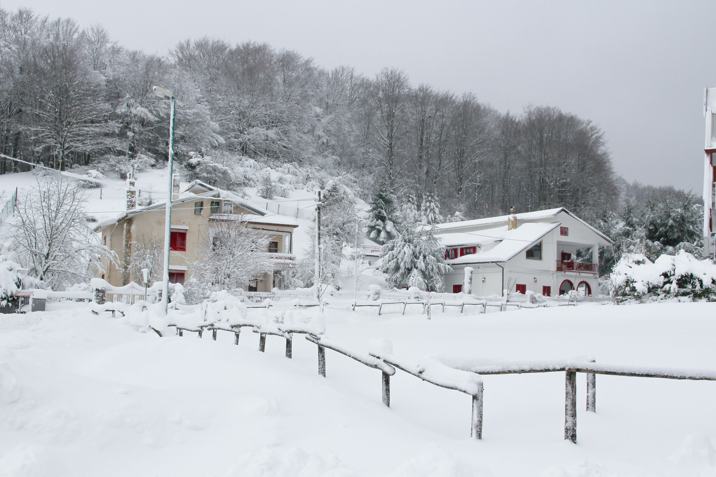 Laceno - Gennaio 2019