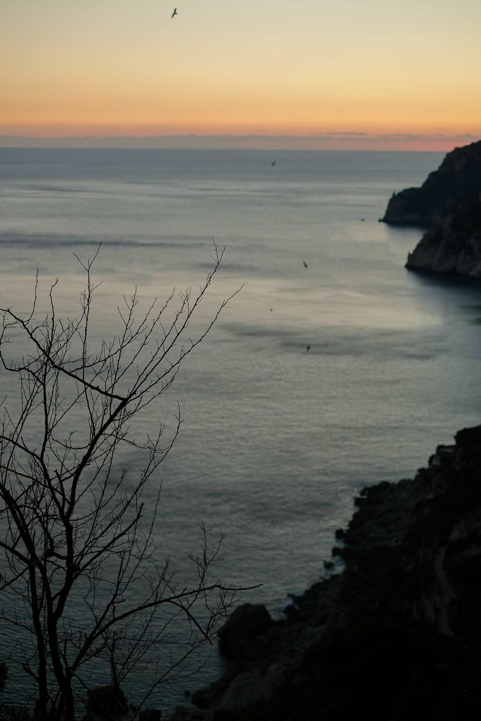 Sunset at Marina Small