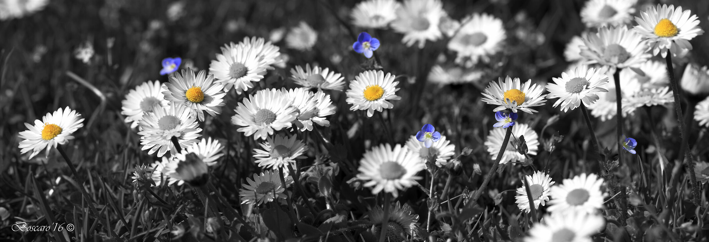 "Overview" of 3 shots