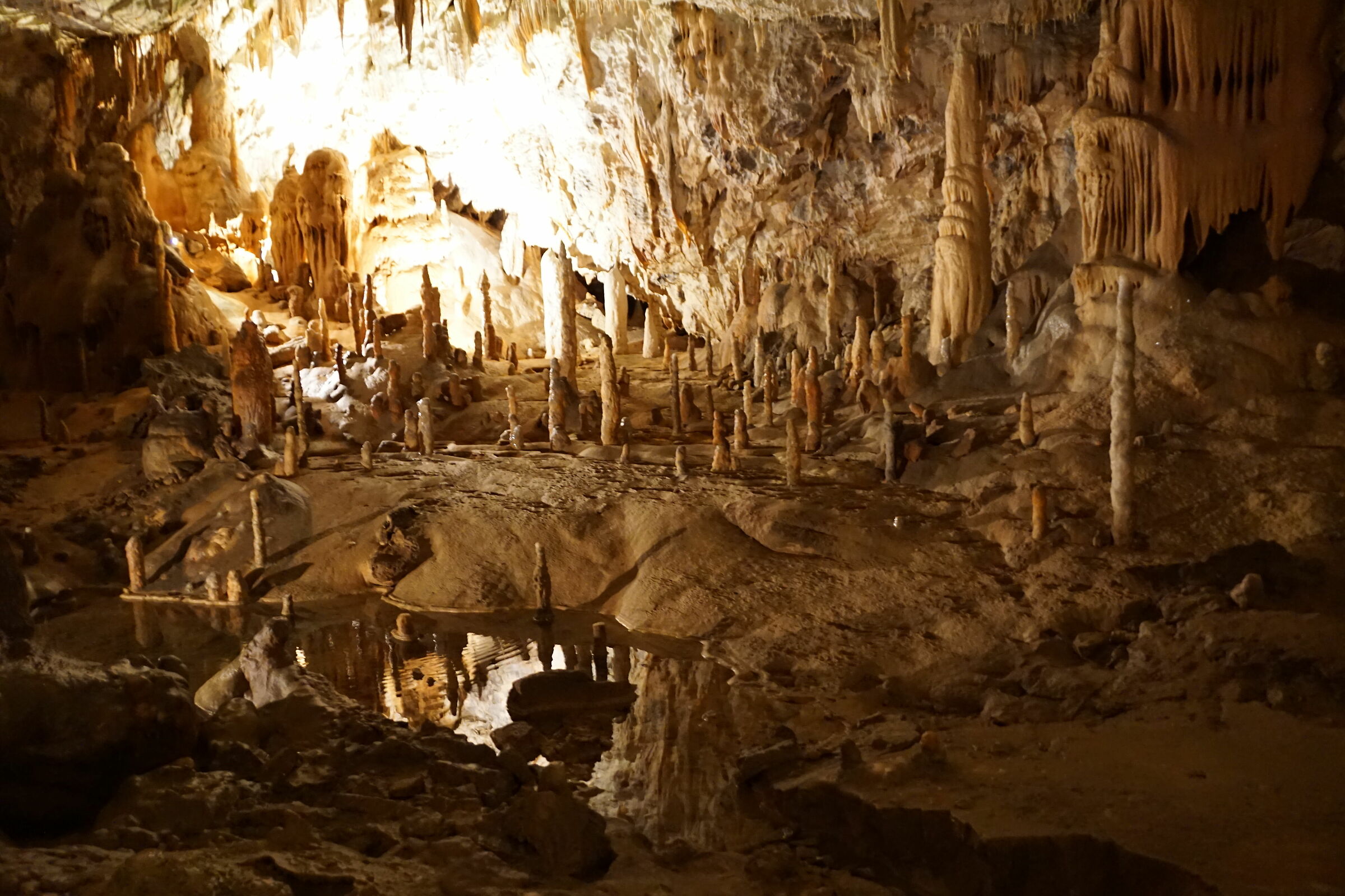 Grotte Di  Postumia