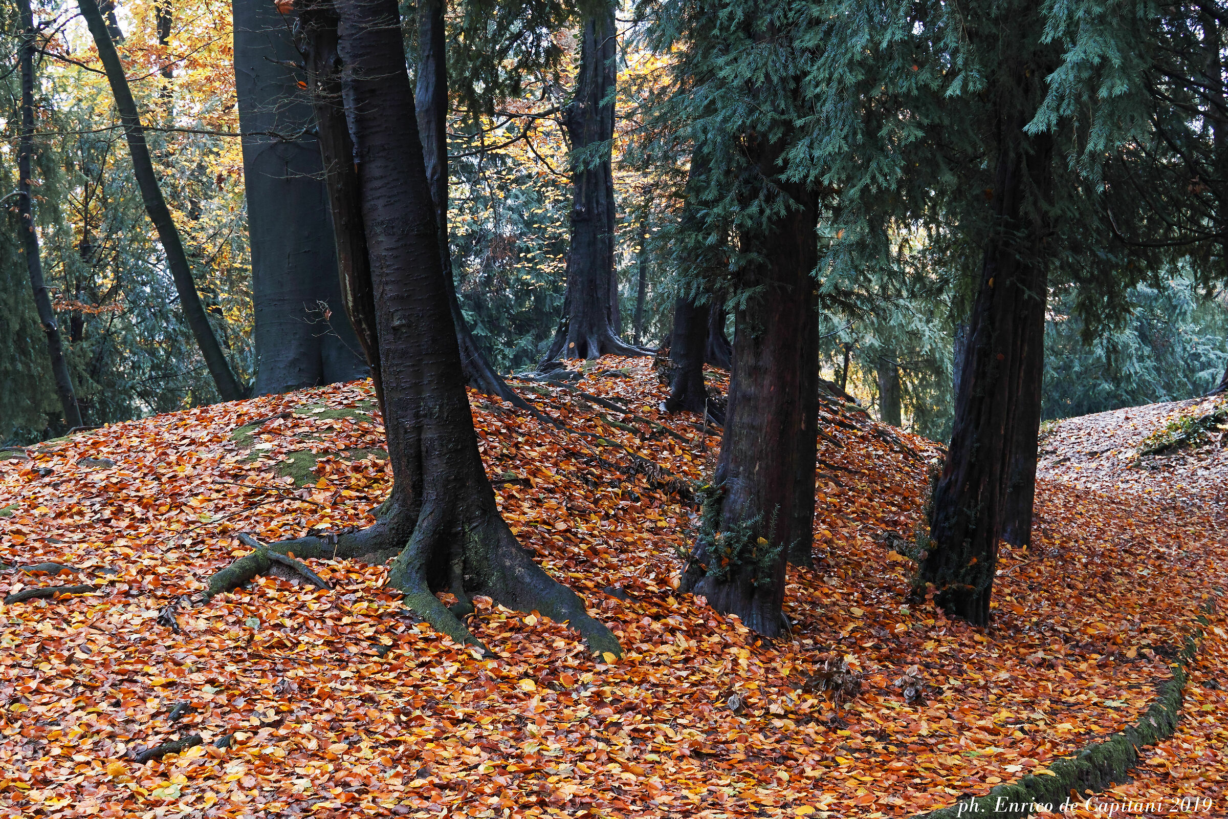Autunno al Parco di Monza