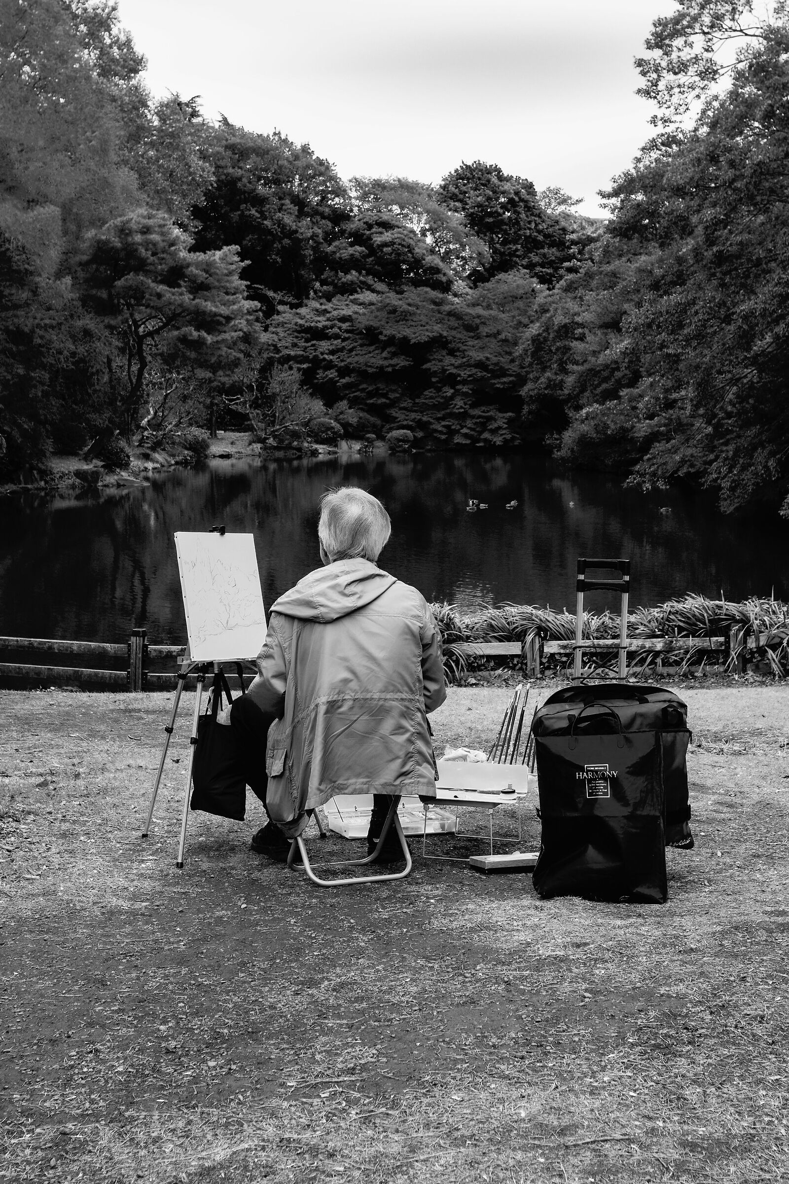 Harmony - Gyoen National Garden