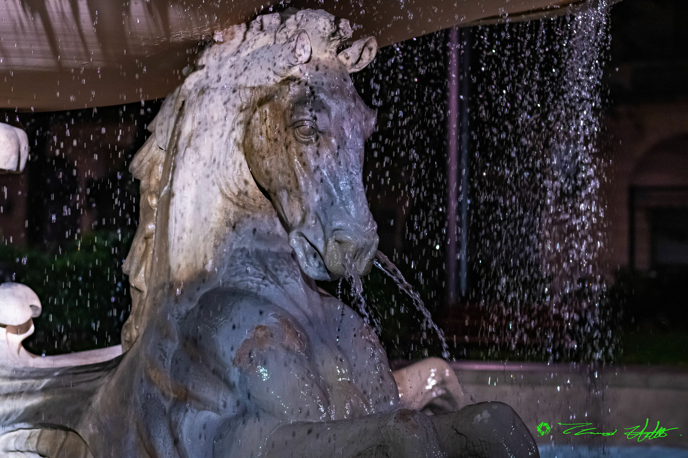 three-horse Rimini fountain