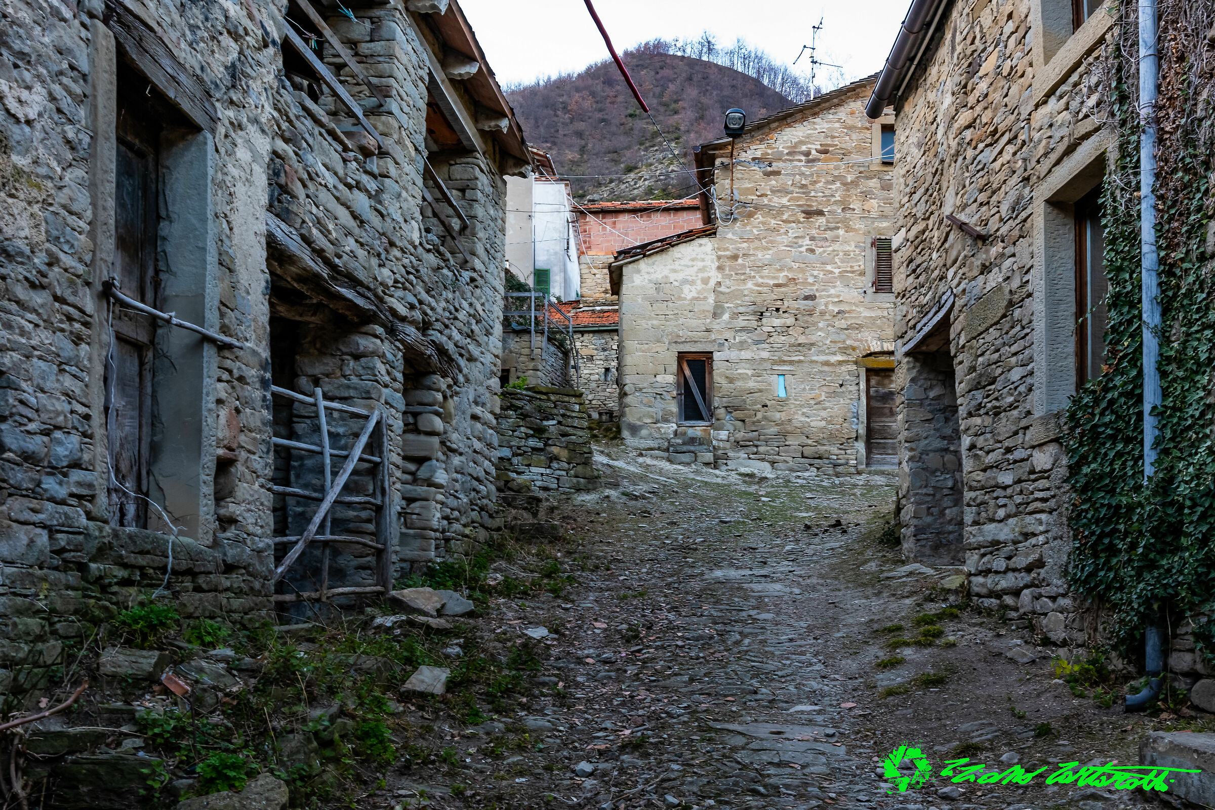 Castel D'alfero Savio Valley