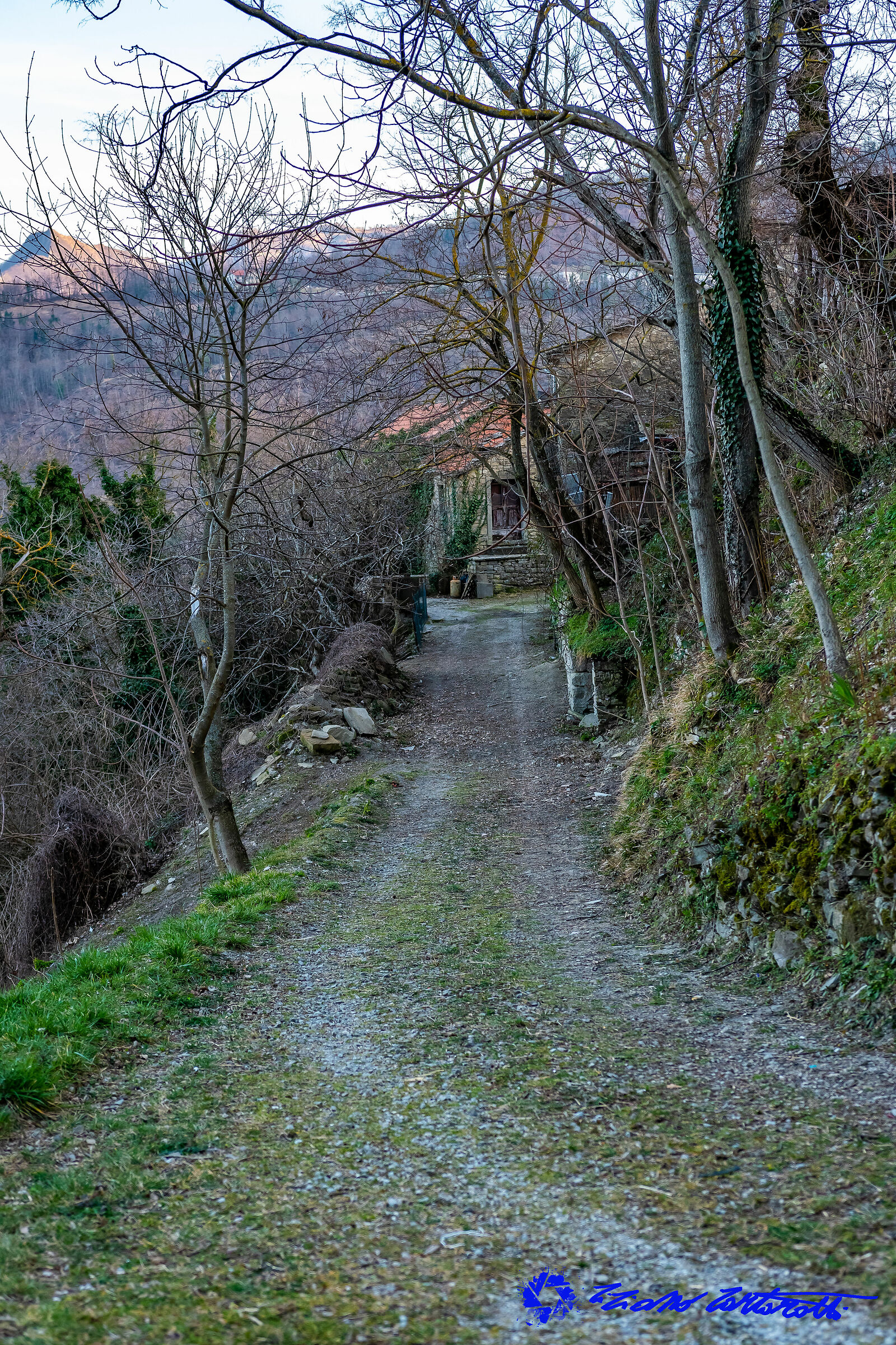 Castel D'alfero Savio Valley
