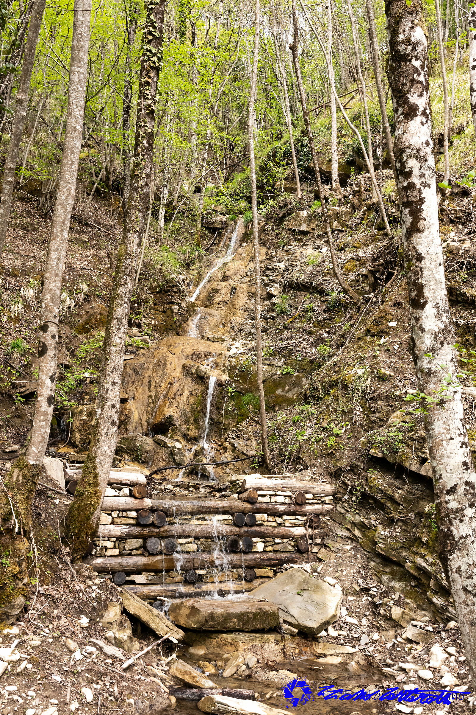 Casentinesi Forests Ridracoli Dam