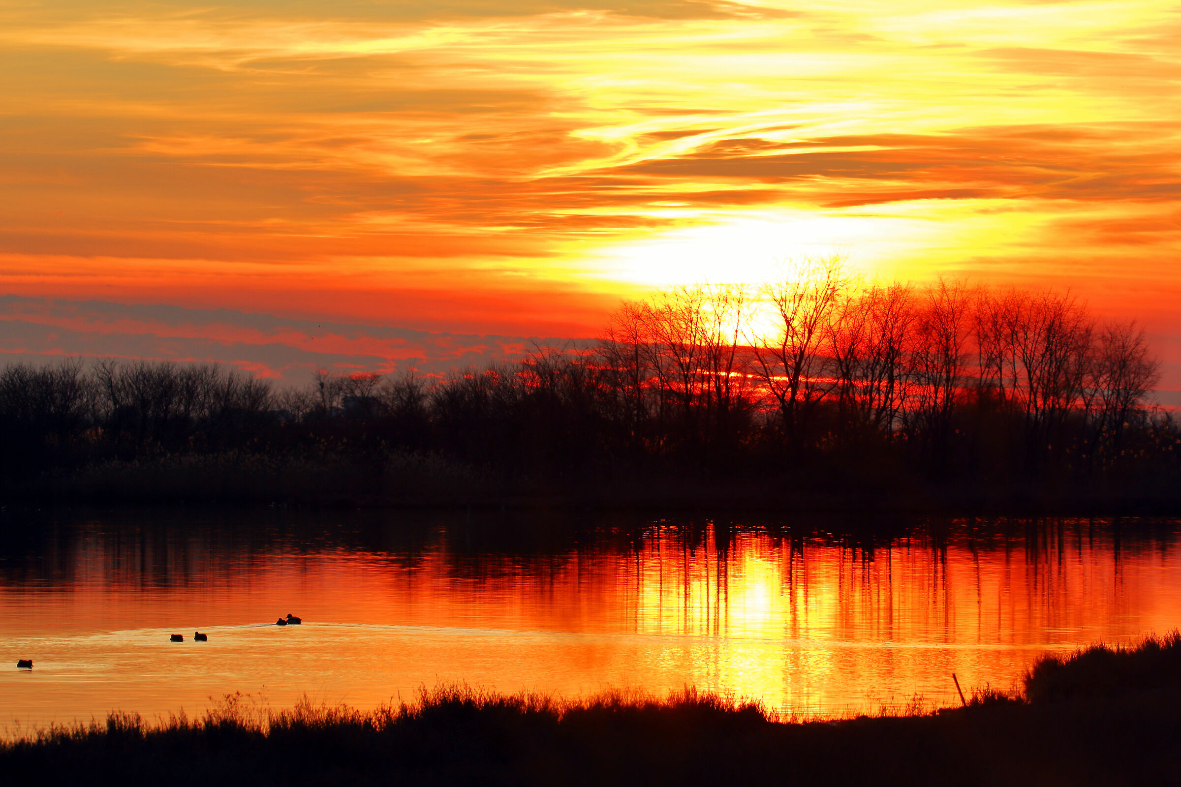 Sunset over the lagoon