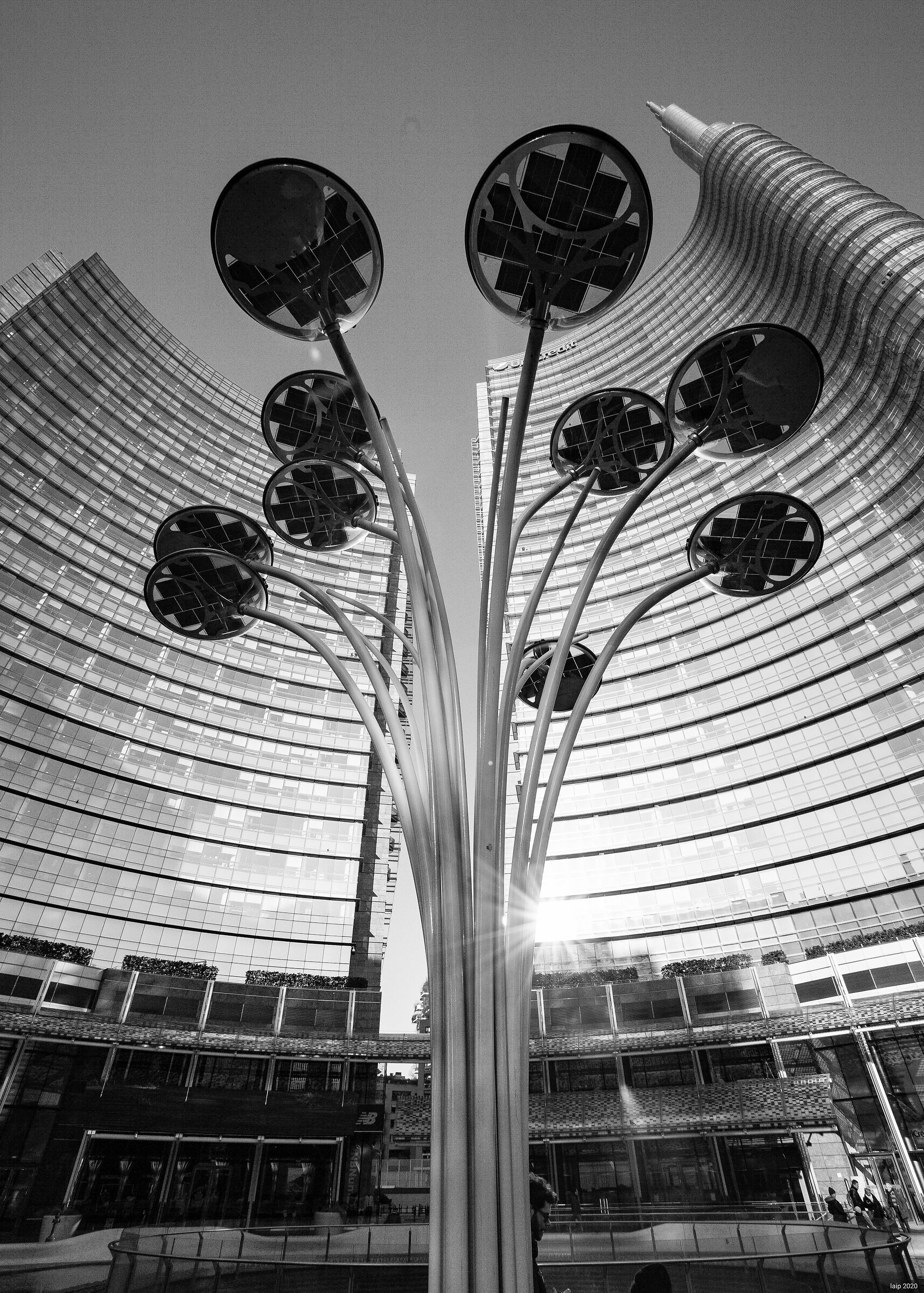 Flowers from underneath