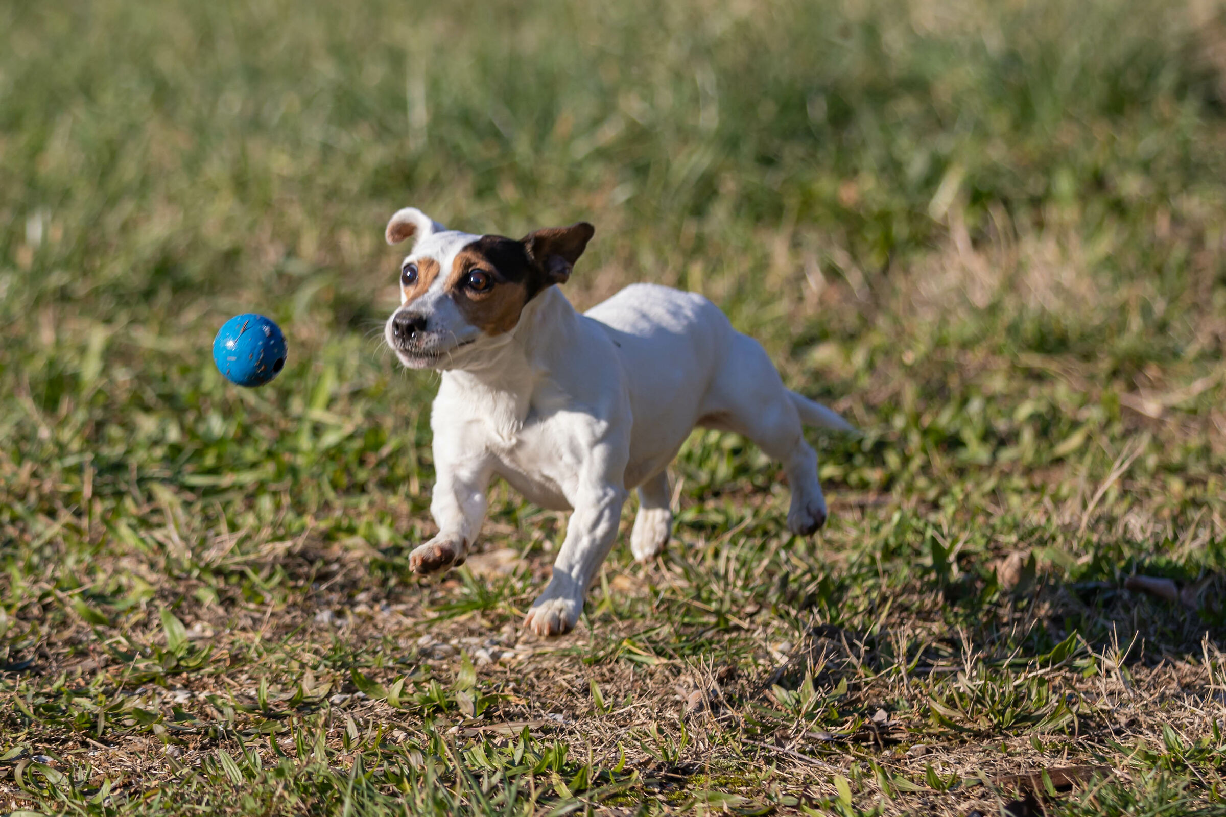 In sospensione plastica