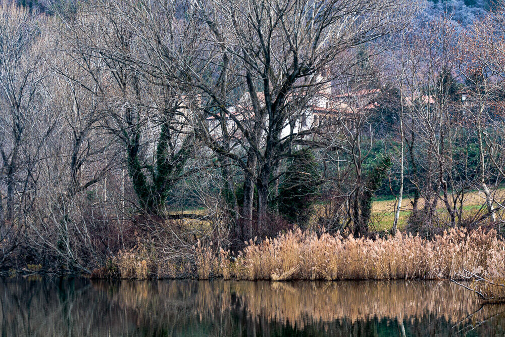 Passeggiate in riserva